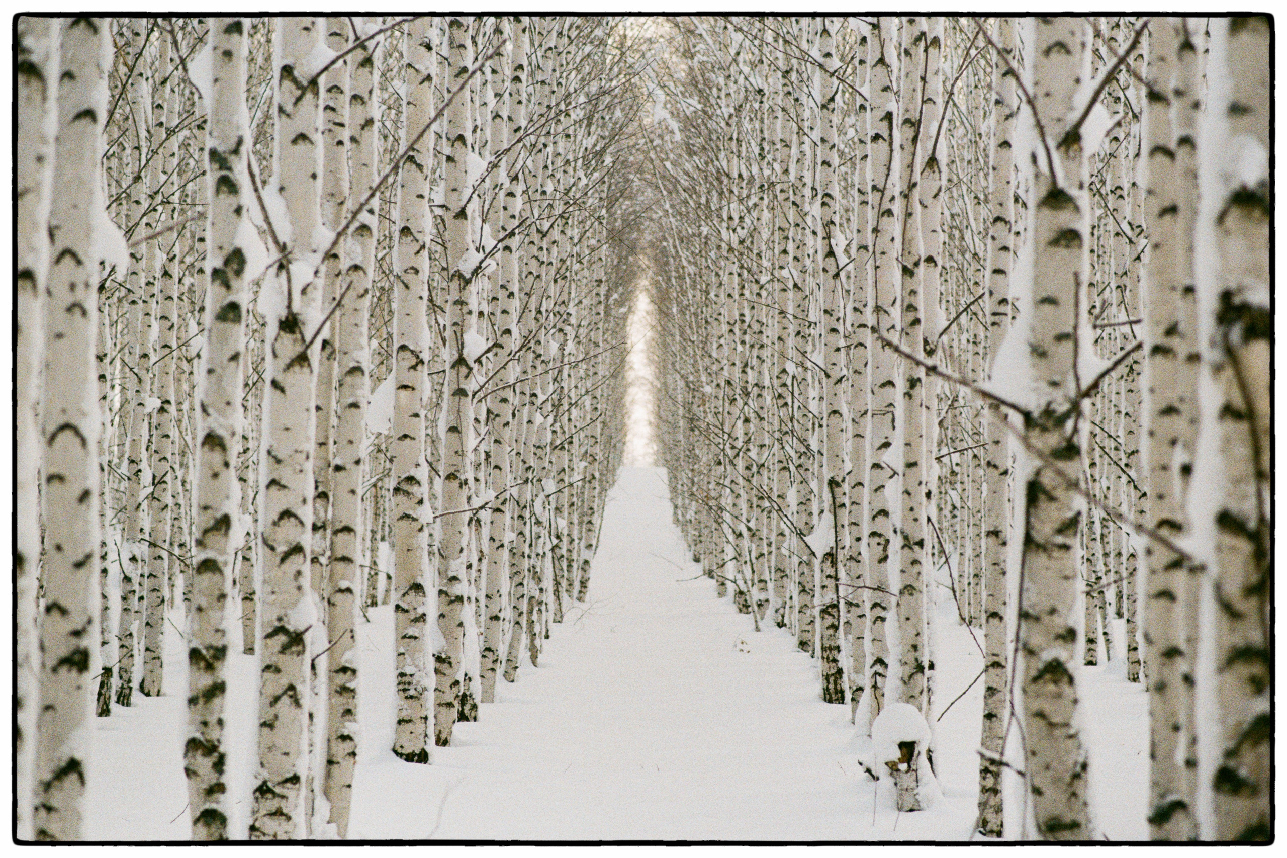 Зимнее. Фотограф Филякин Константин