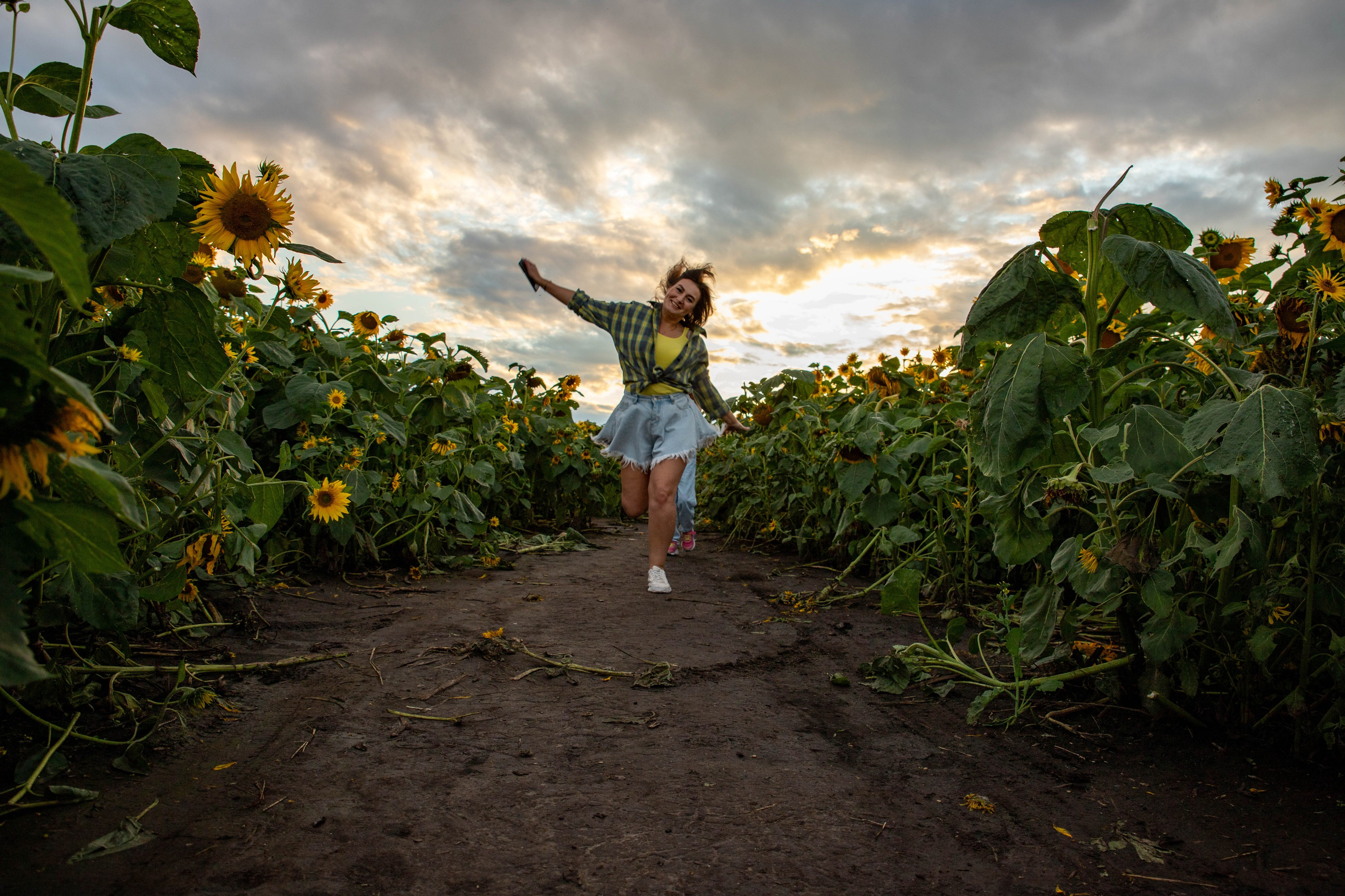 Фотосет в подсолнухах. Алена и Арина. Фотограф Лапочкина Татьяна