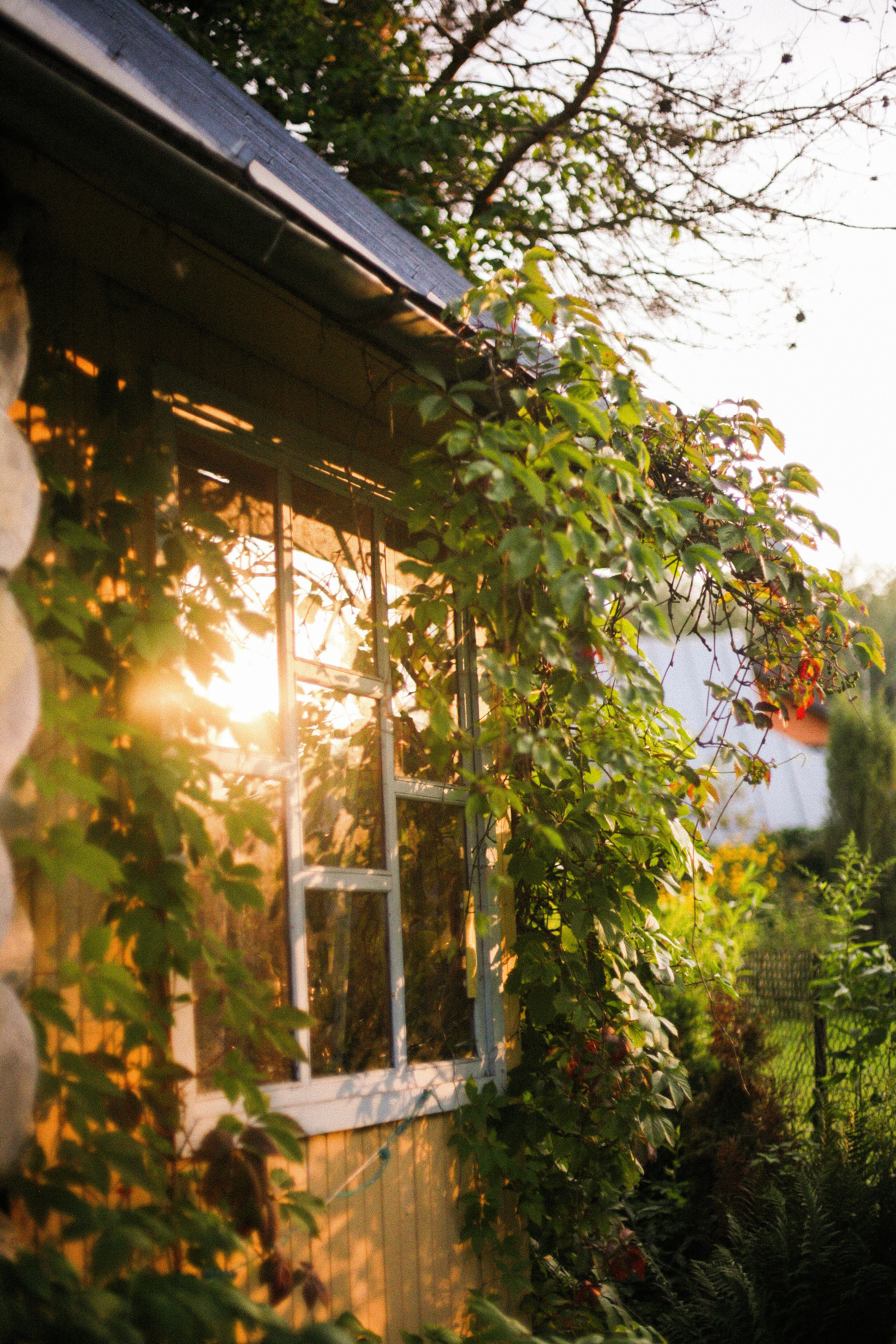Три поколения. Фотограф Екатерина Максимова: семейные, индивидуальные съемки, свадьбы