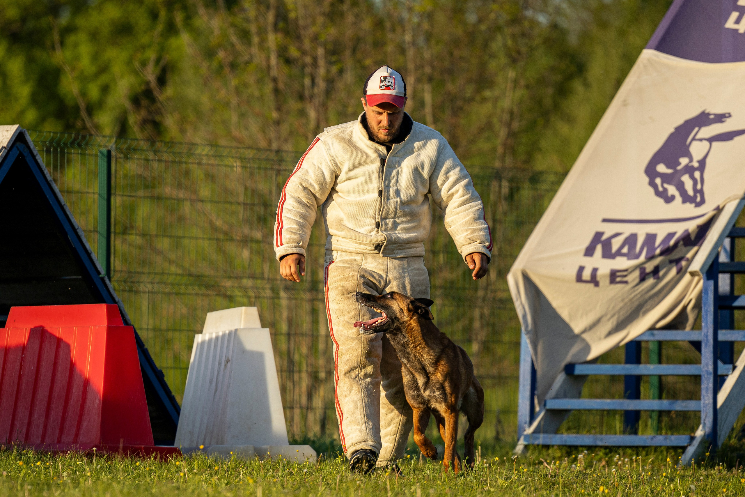 Испытания по мондьорингу в Нижнем Новгороде. Фотограф-анималист Анна Маринич