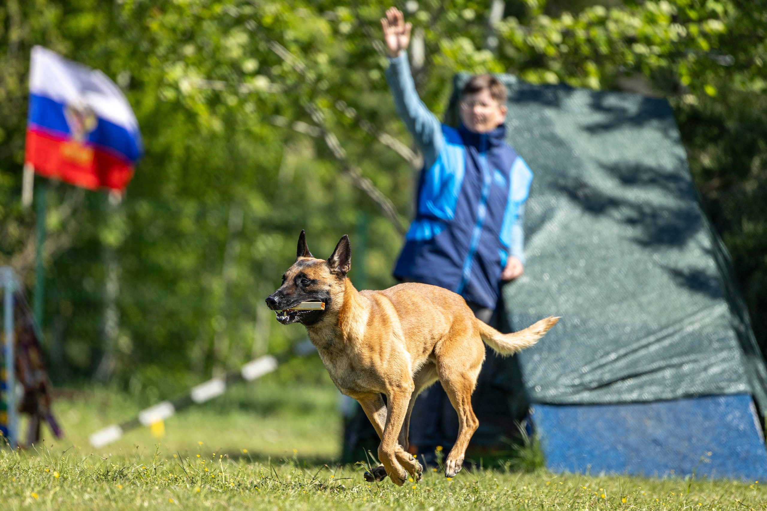 Испытания по мондьорингу в Нижнем Новгороде. Фотограф-анималист Анна Маринич