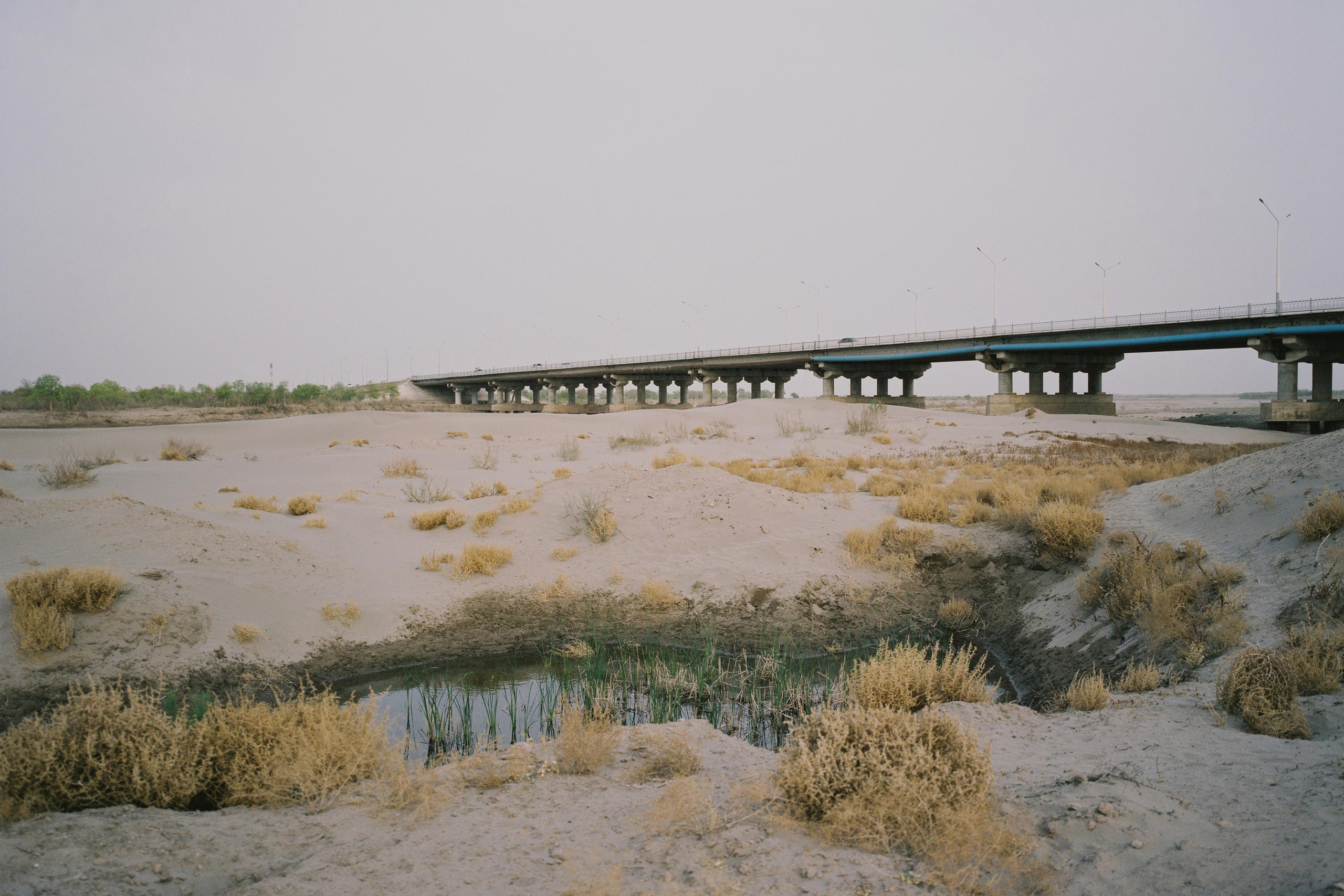 The Amu Darya was the most full-flowing river in Central Asia, and now in the lower reaches it has turned almost into a small stream. The problem is in deforestation along the banks, as well as in active land reclamation – both Uzbekistan and especially Turkmenistan upstream take a lot of water into channels and ditches. There are no other natural water sources here