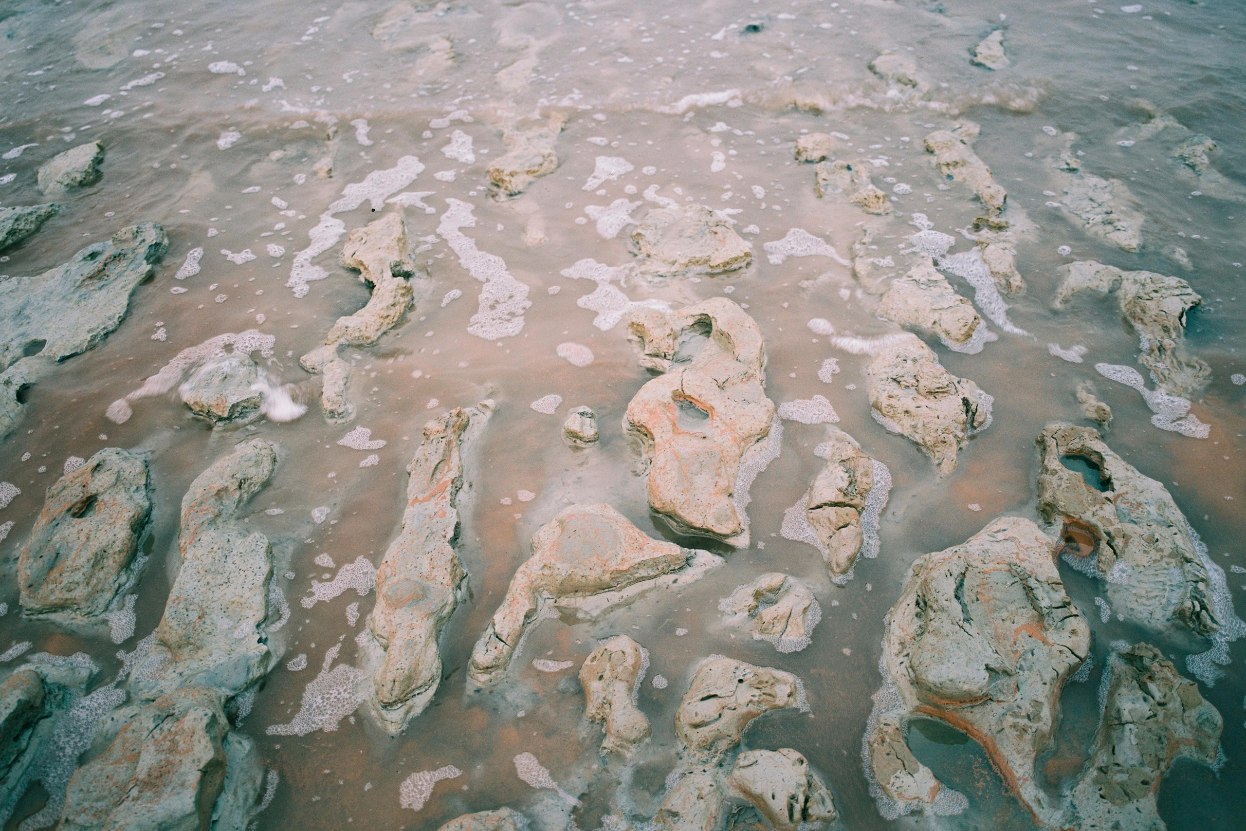 Clay on the shore of the Aral Sea. The salinity of the water is about 150-160 g/ l, which is two times lower than the Dead Sea in Israel, so some types of microalgae and plankton are still preserved. But the fish in such water no longer survives