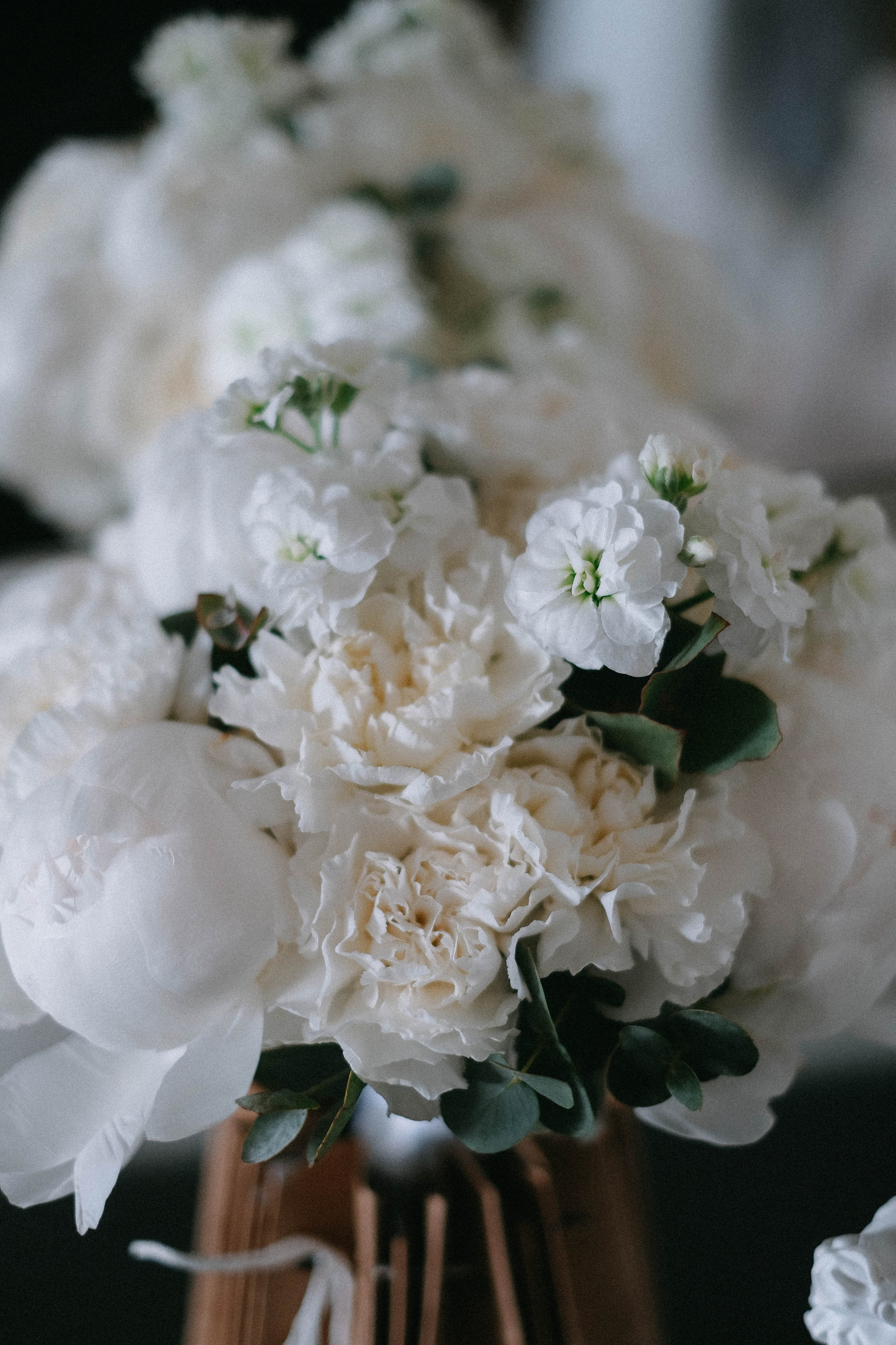 Стас & Настя. Главная