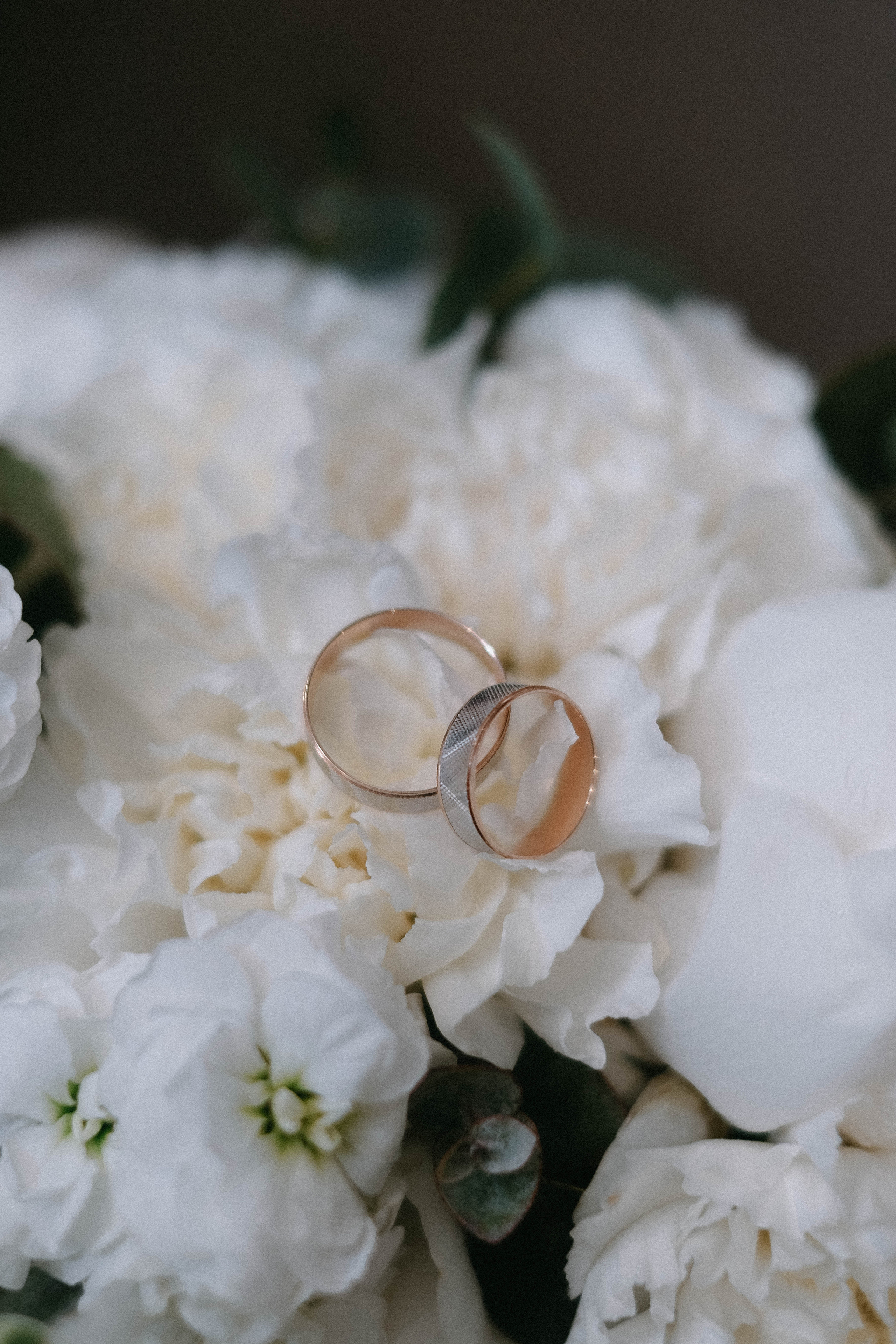 Стас & Настя. Главная