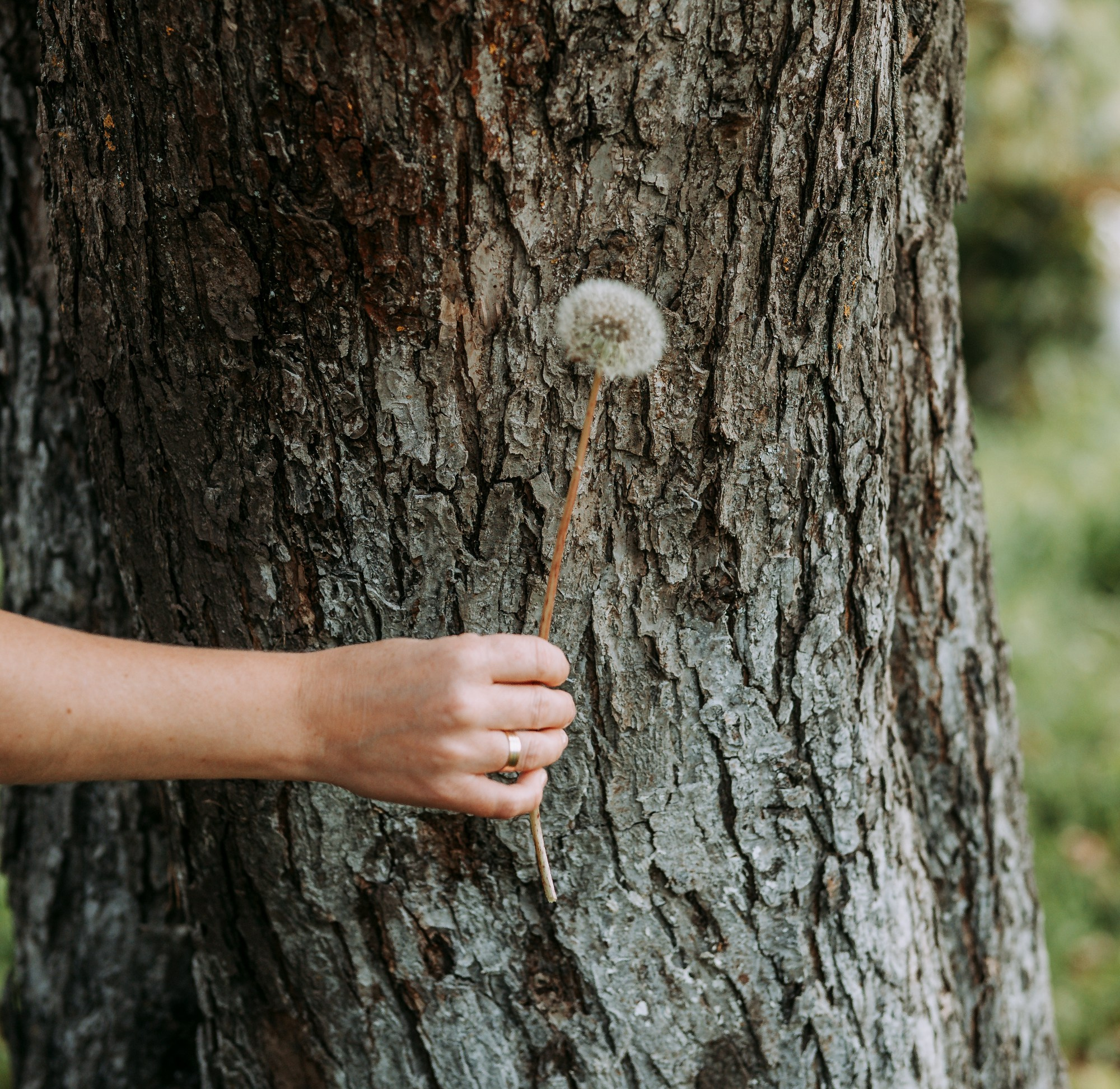 Галина. Портретный фотограф Павлова Светлана / Брянск /