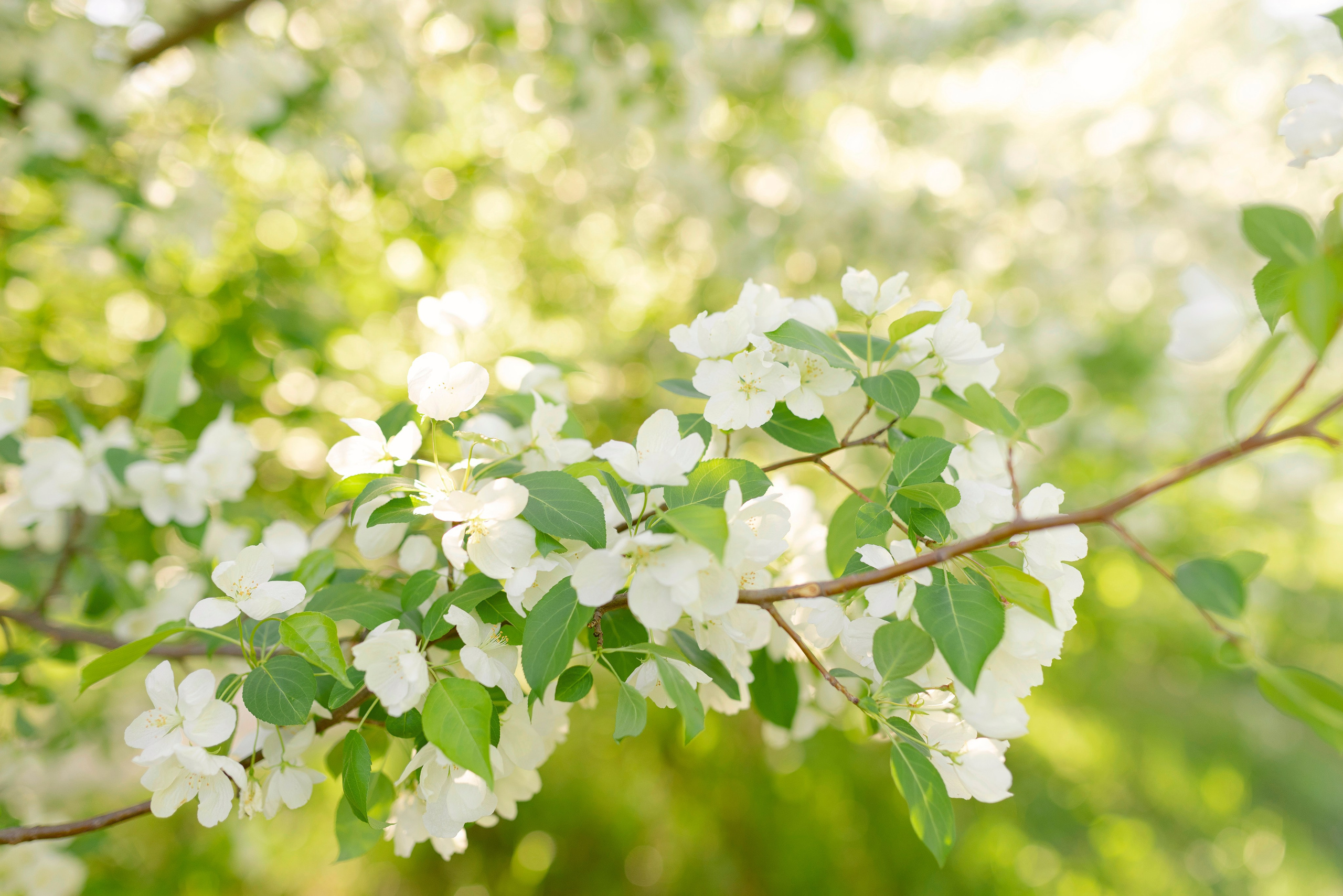 фотограф Сургут и Нефтеюганск