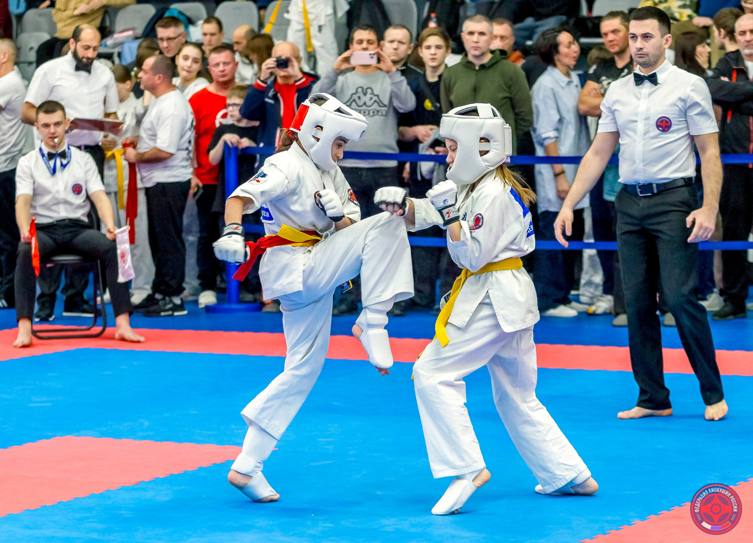 Международный турнир по киокушин «Открытый кубок Seiken». Репортажная съемка в Москве и области. Анималистика