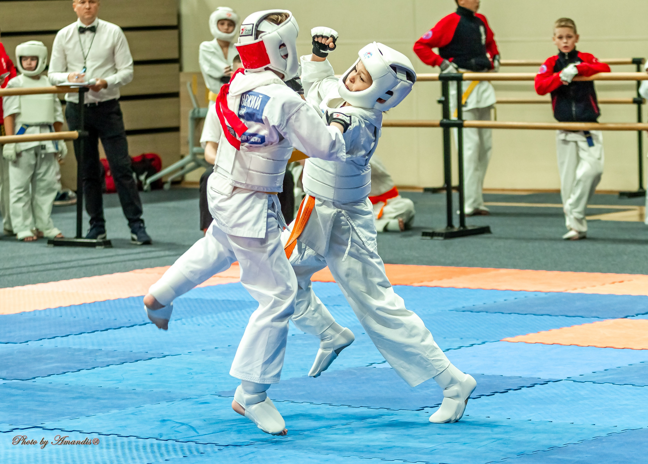 Первенство Московской области по Киокушин в СК «Жаворонки». Репортажная съемка в Москве и области. Анималистика