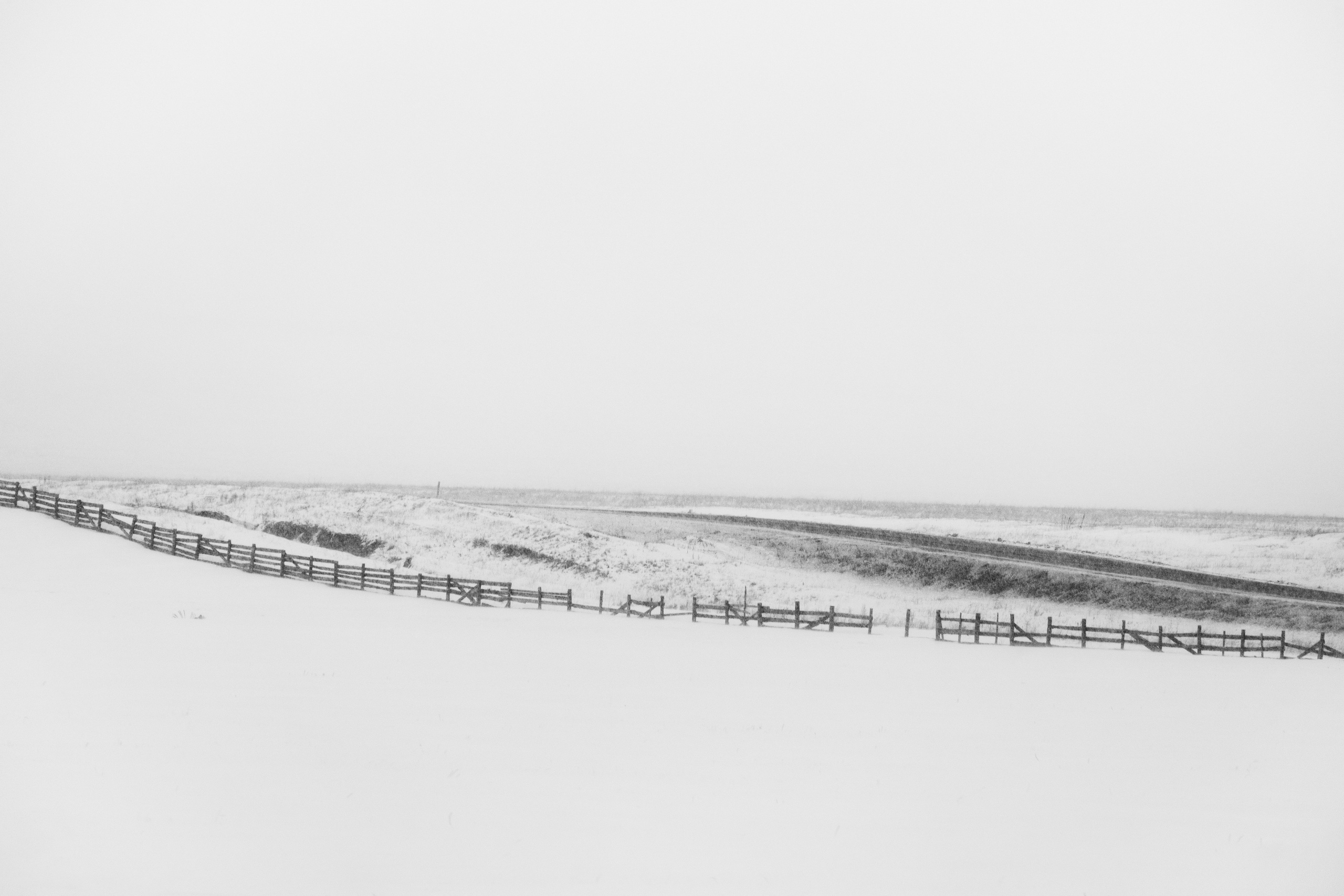 Silence. Irina Borodina