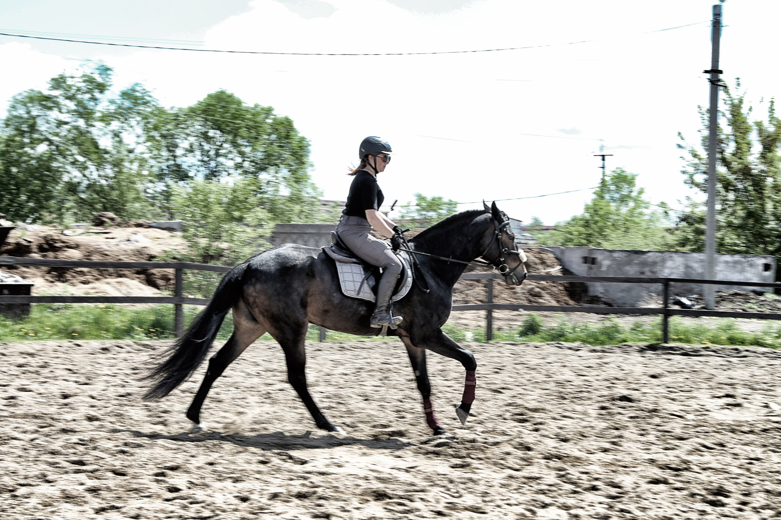 Лошади «Каскад» и «Брилиант». Алиса Томшина — Фотограф / Видеограф