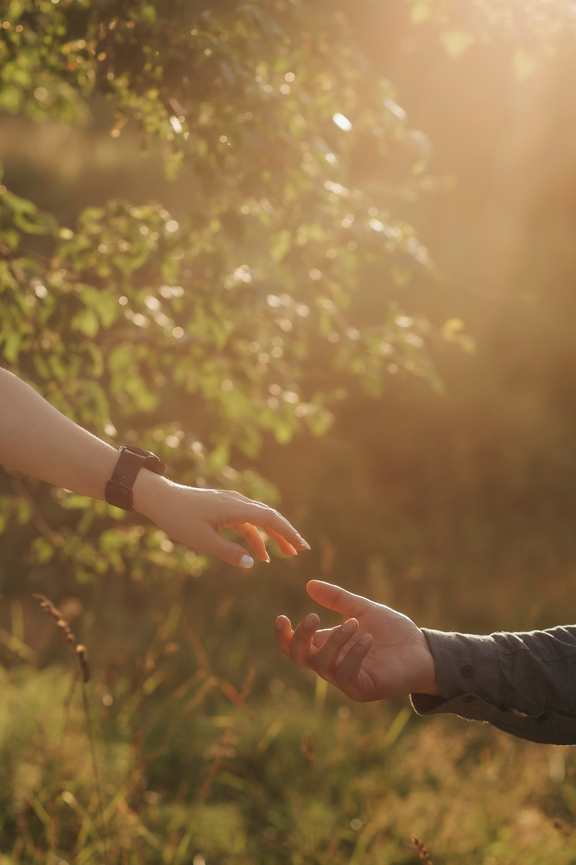 A+N & Houston. Свадебный фотограф Пермь