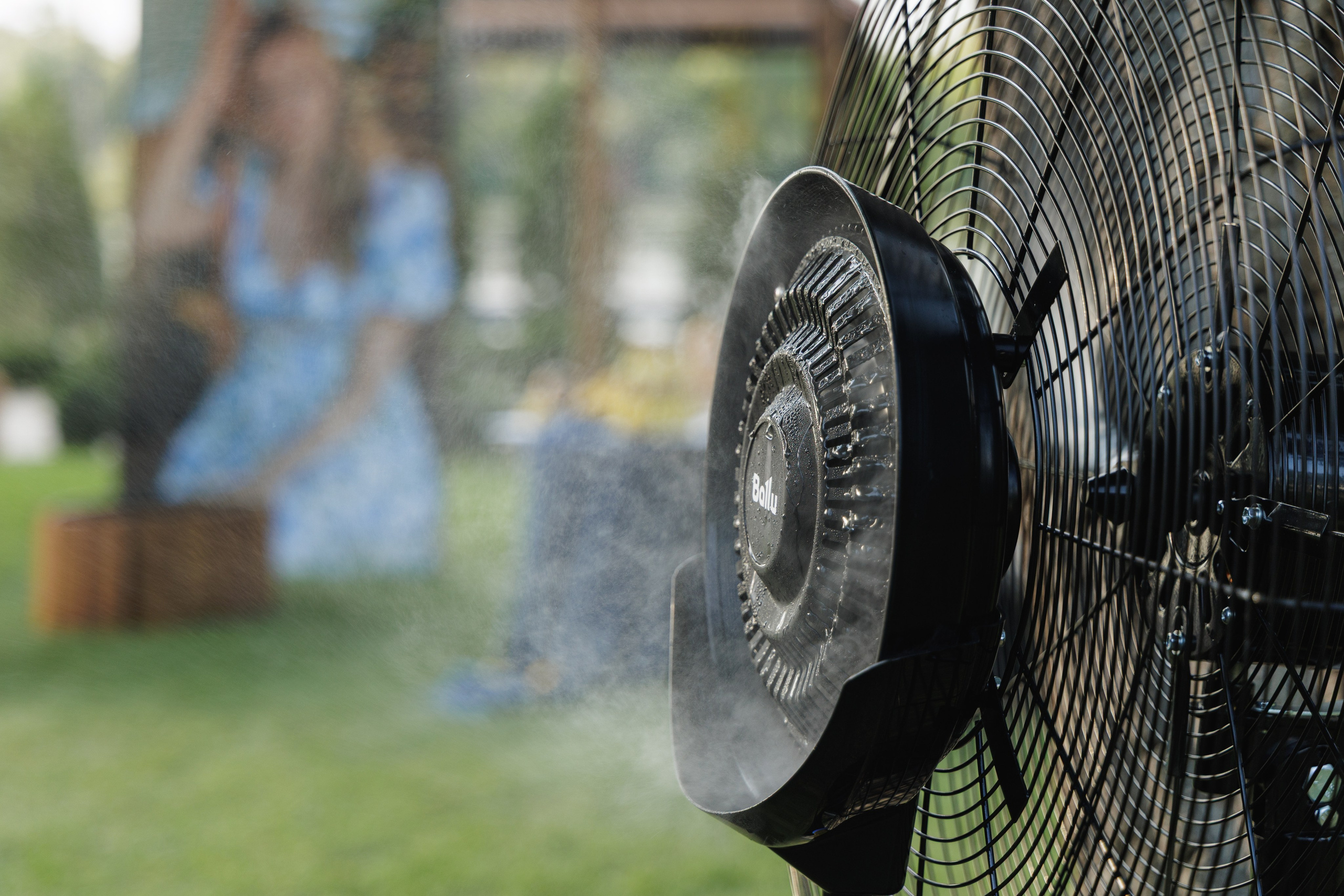 День Рождения. Aleksantis