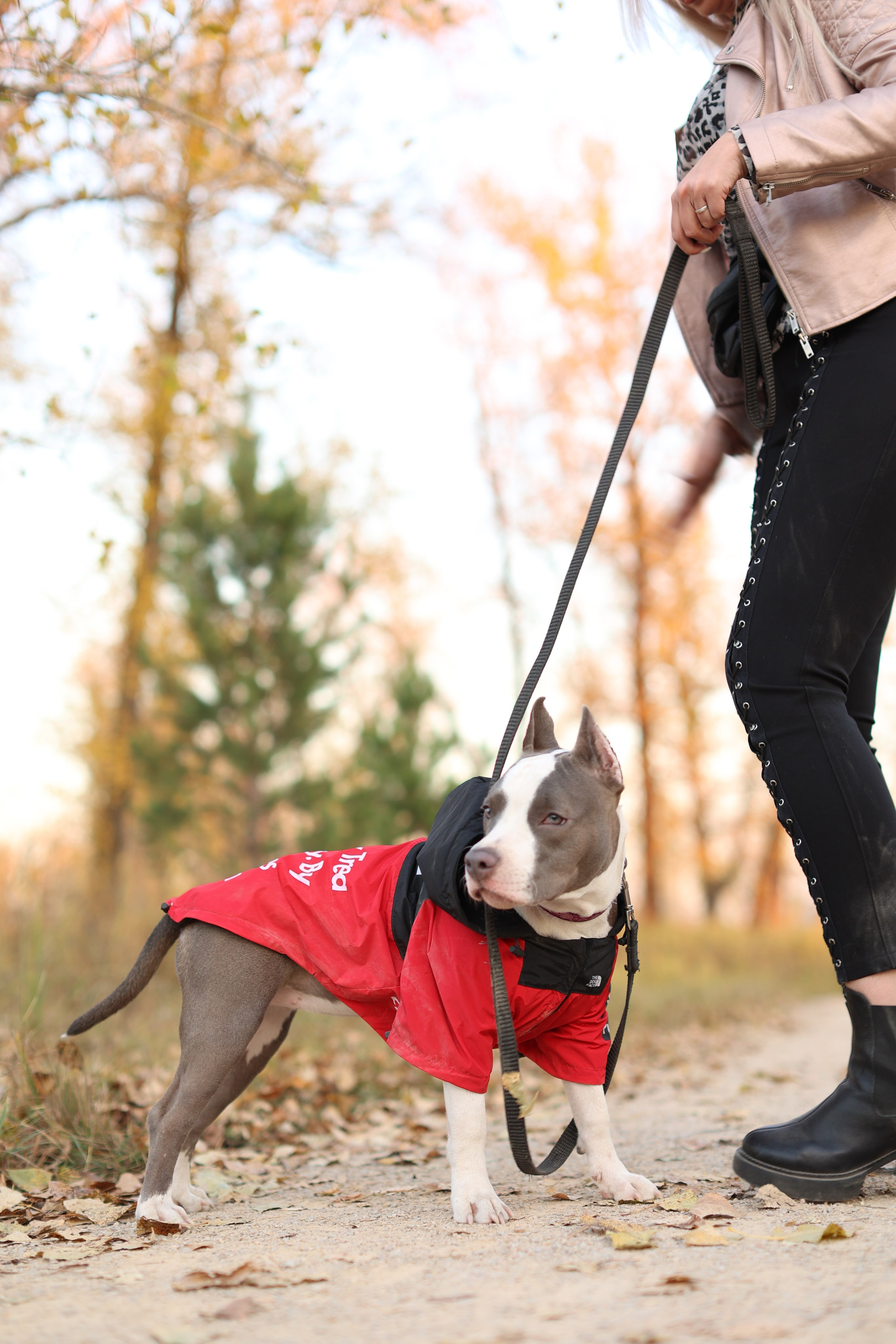 Осень. Art my Pho