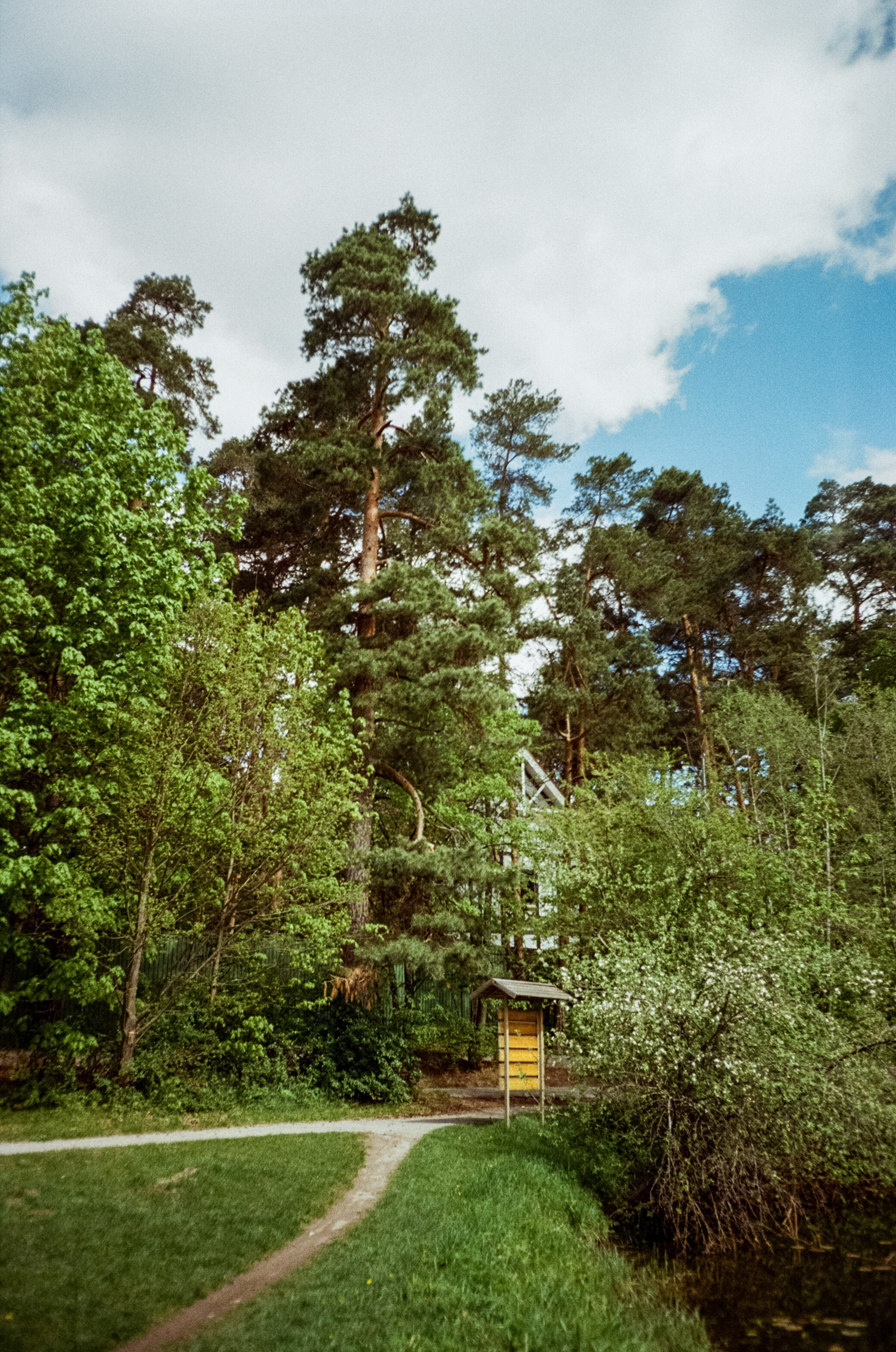 Ricoh R1 | Kodak ProImage 100 | 6 мая 2025 года СерБор