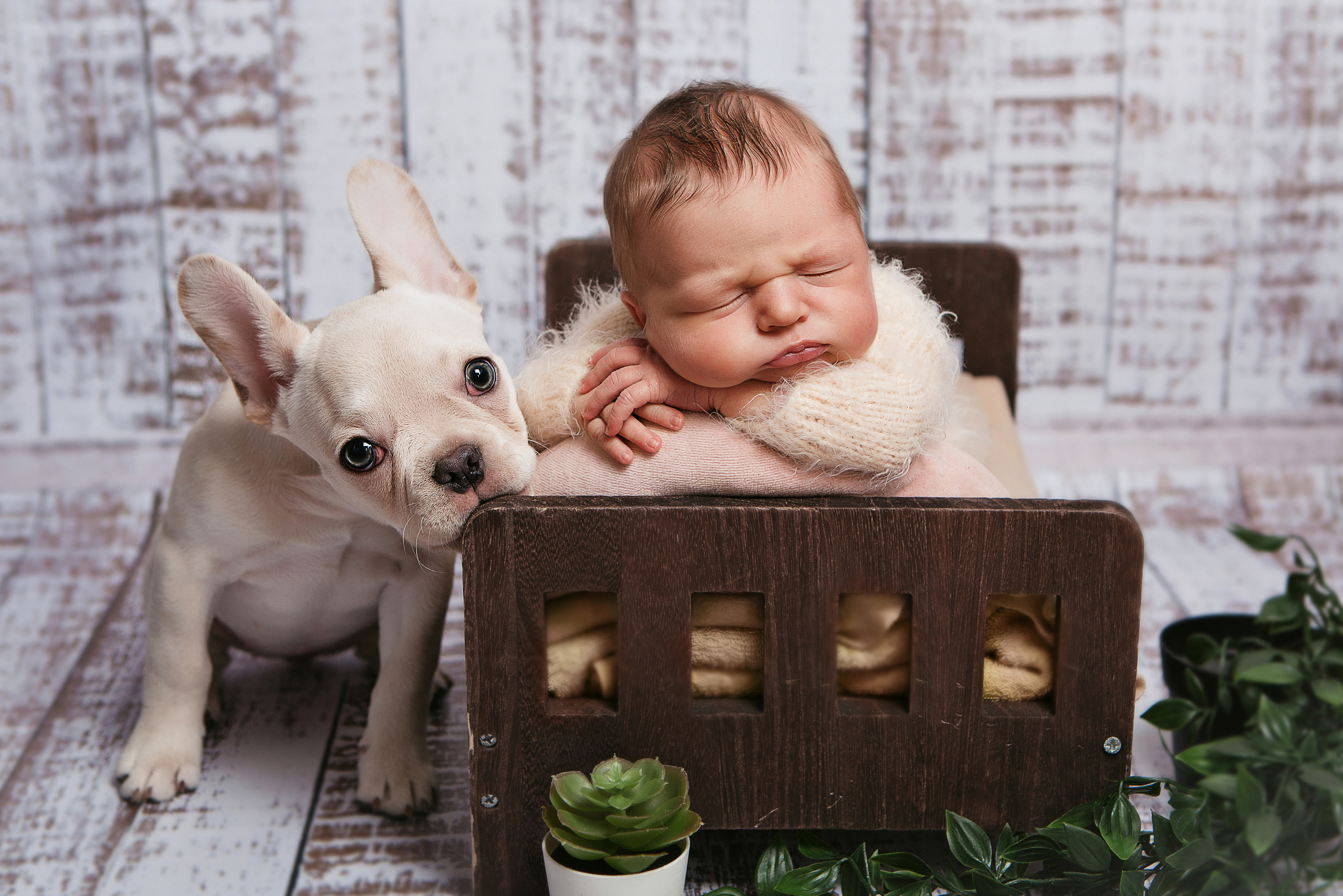 Новорожденные. Семейный, детский, newborn фотограф Москва,Московская обл Алла Риэр