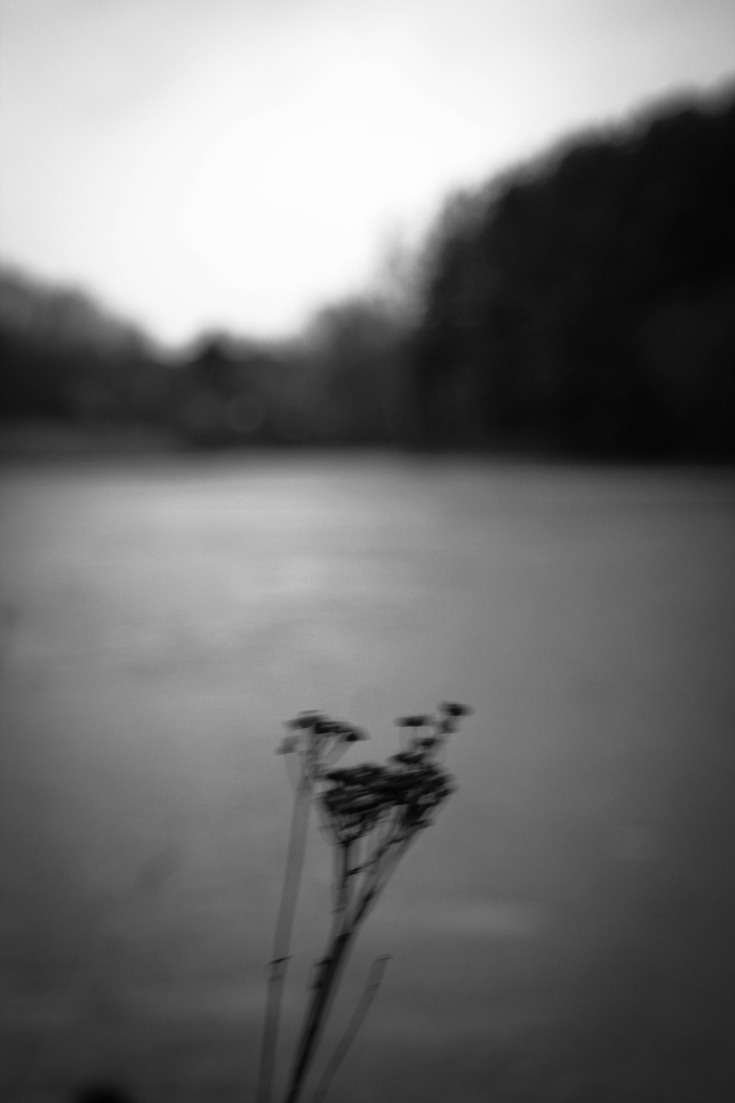 Личные кадры. Сайт о предметной, имиджевой и портретной фотографии, фотограф Фил Киреев