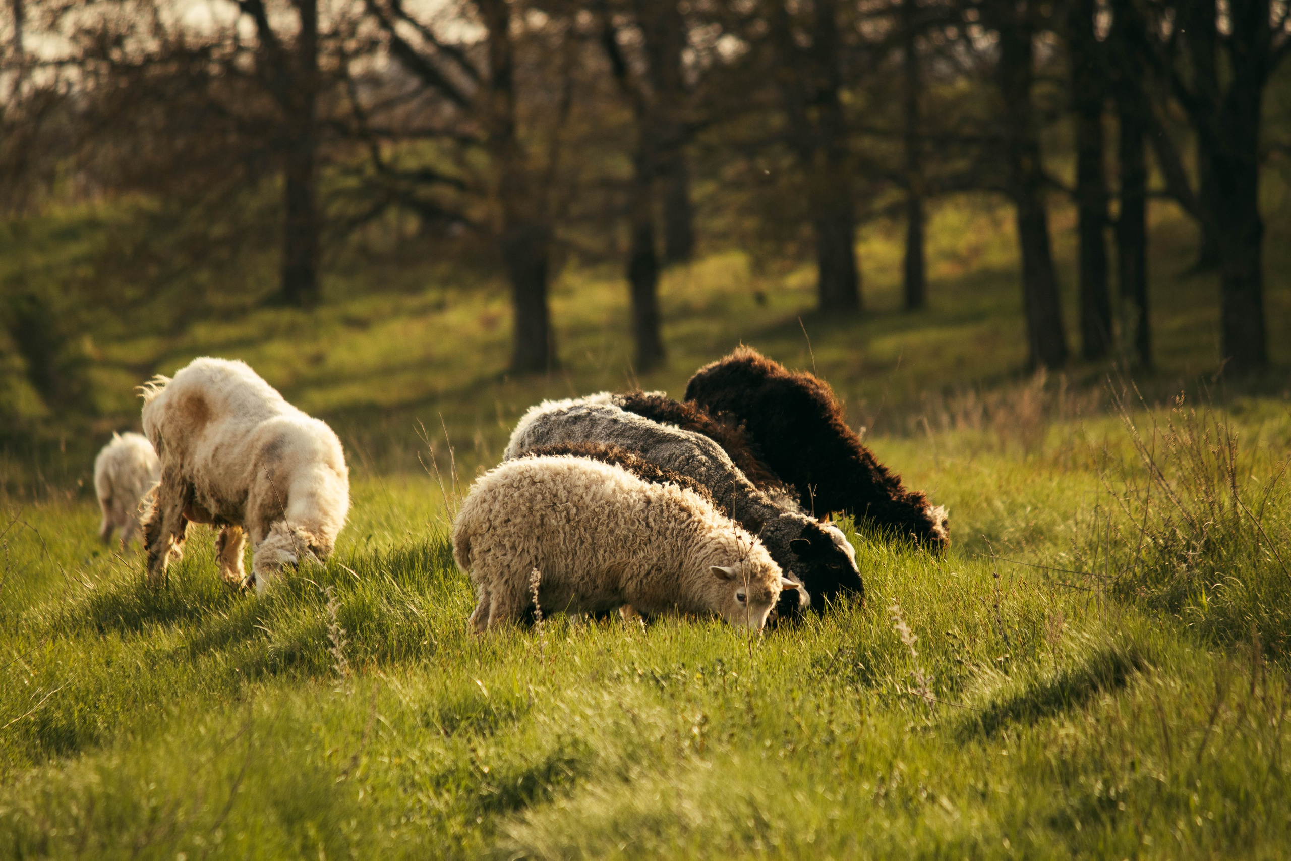 Сокольская гора. Фотограф и видеограф в Бугульме Аня Трутнева