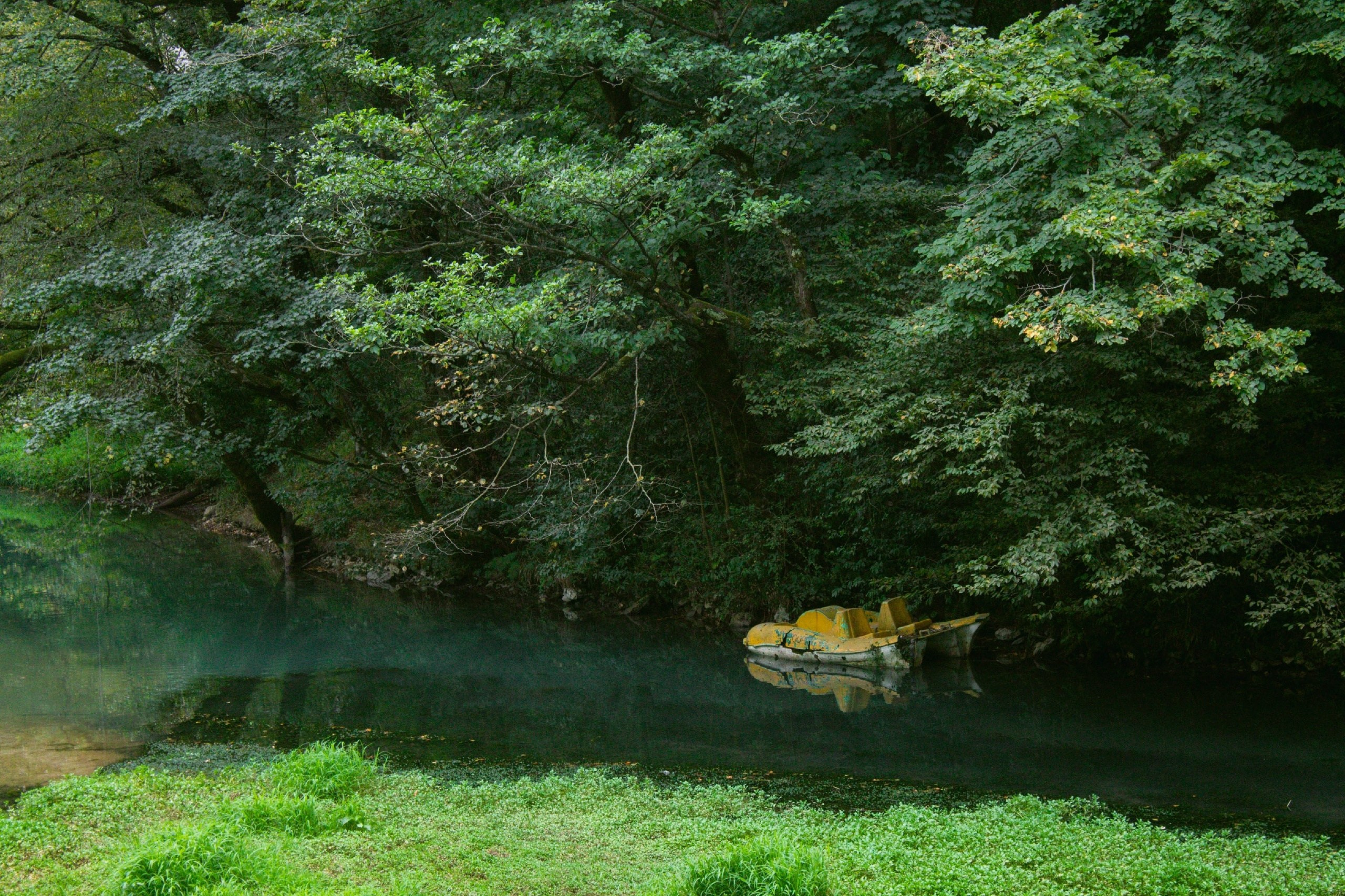 Абхазия. Фотограф и видеограф в Бугульме Аня Трутнева