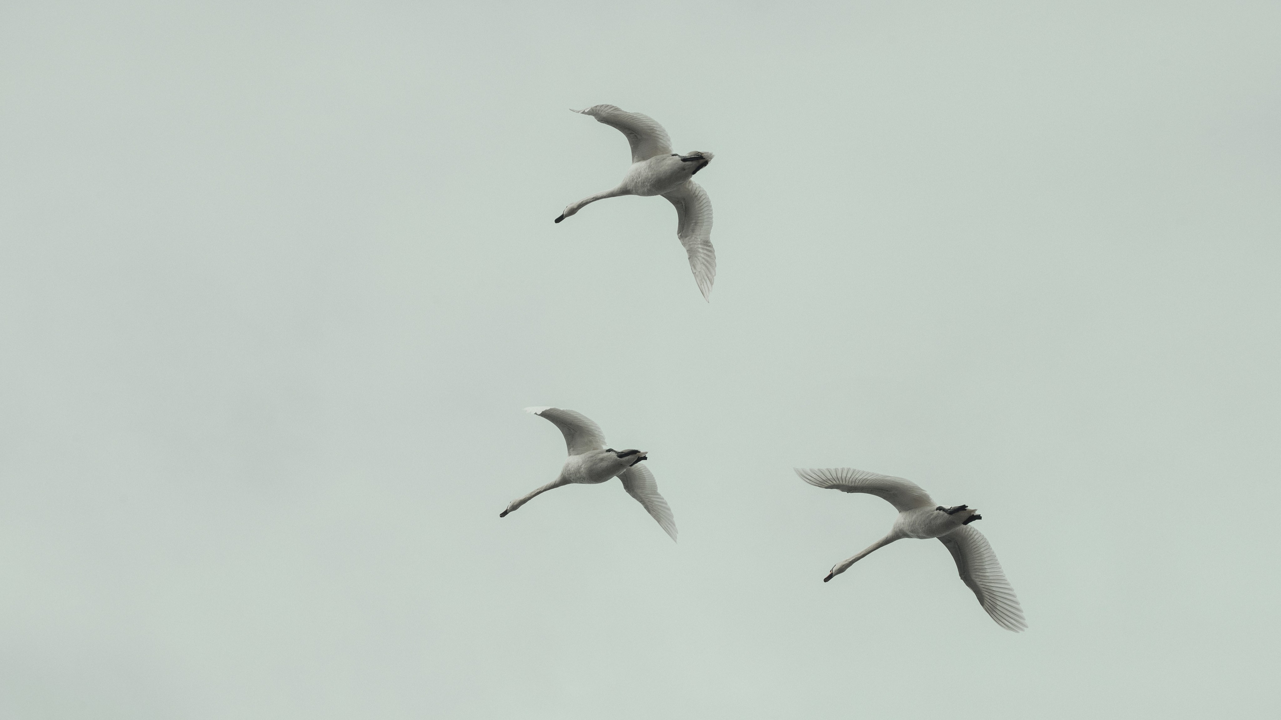 Книголюбы. Фотограф и Видеограф Артур Гимаев