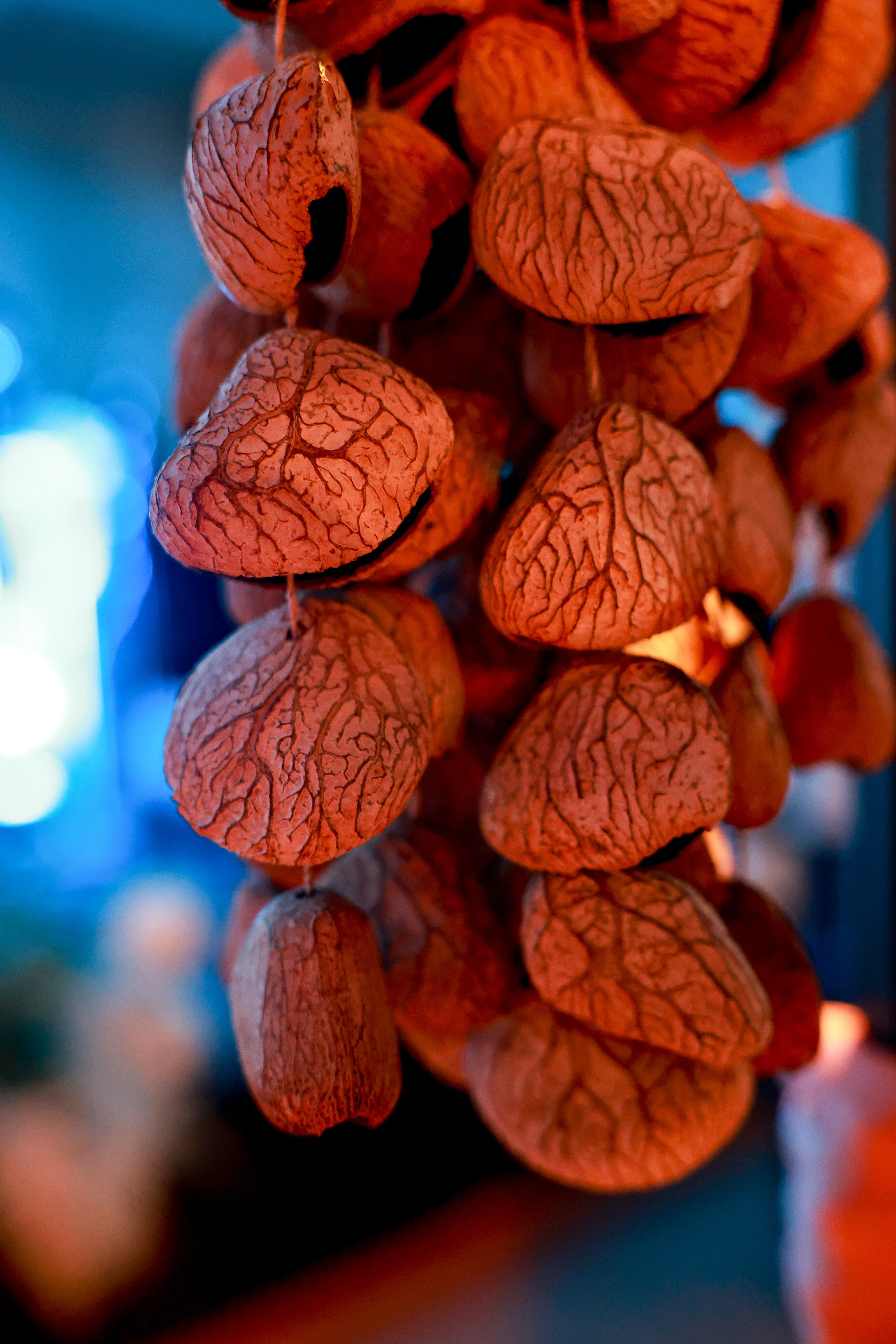 Фестиваль «Умиротворение». Дарья Бухреева — фотограф, видеограф и фототерапевт. Москва и мир