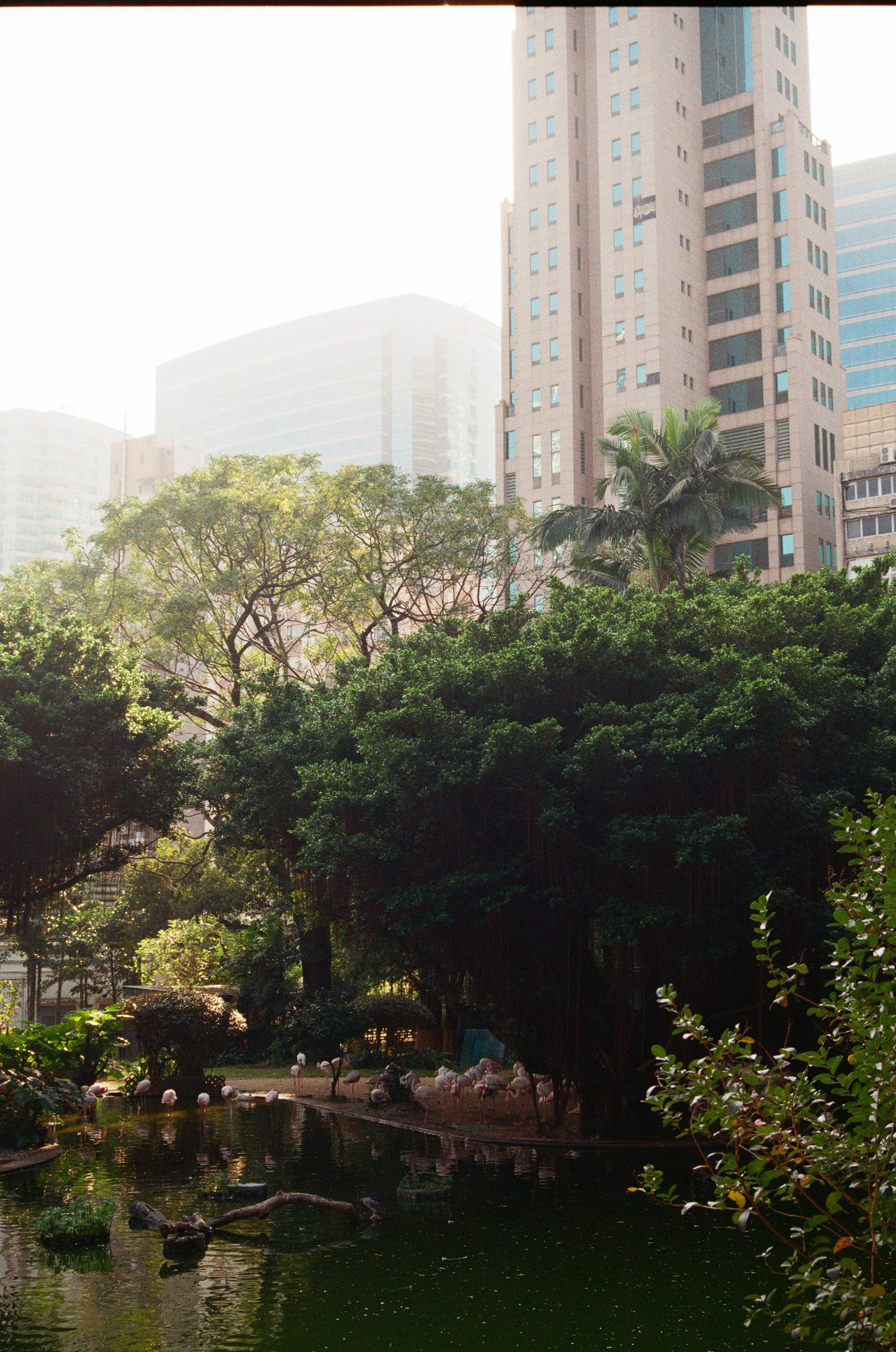 Гон Конг 2024. Репортажный и портретный фотограф Русакова Жанна