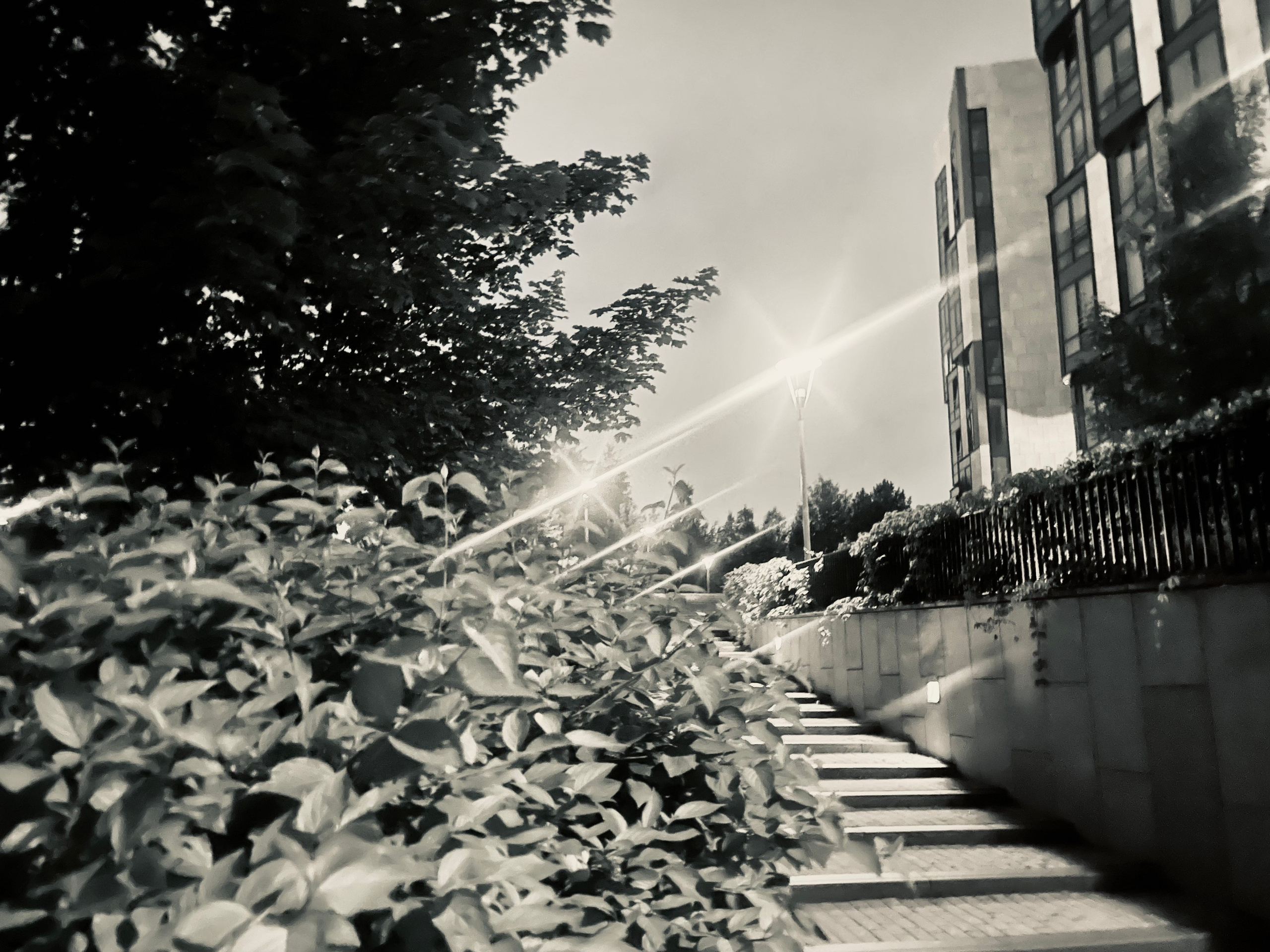 ЧБ. Творческая фотография Юлии Артюх, Москва