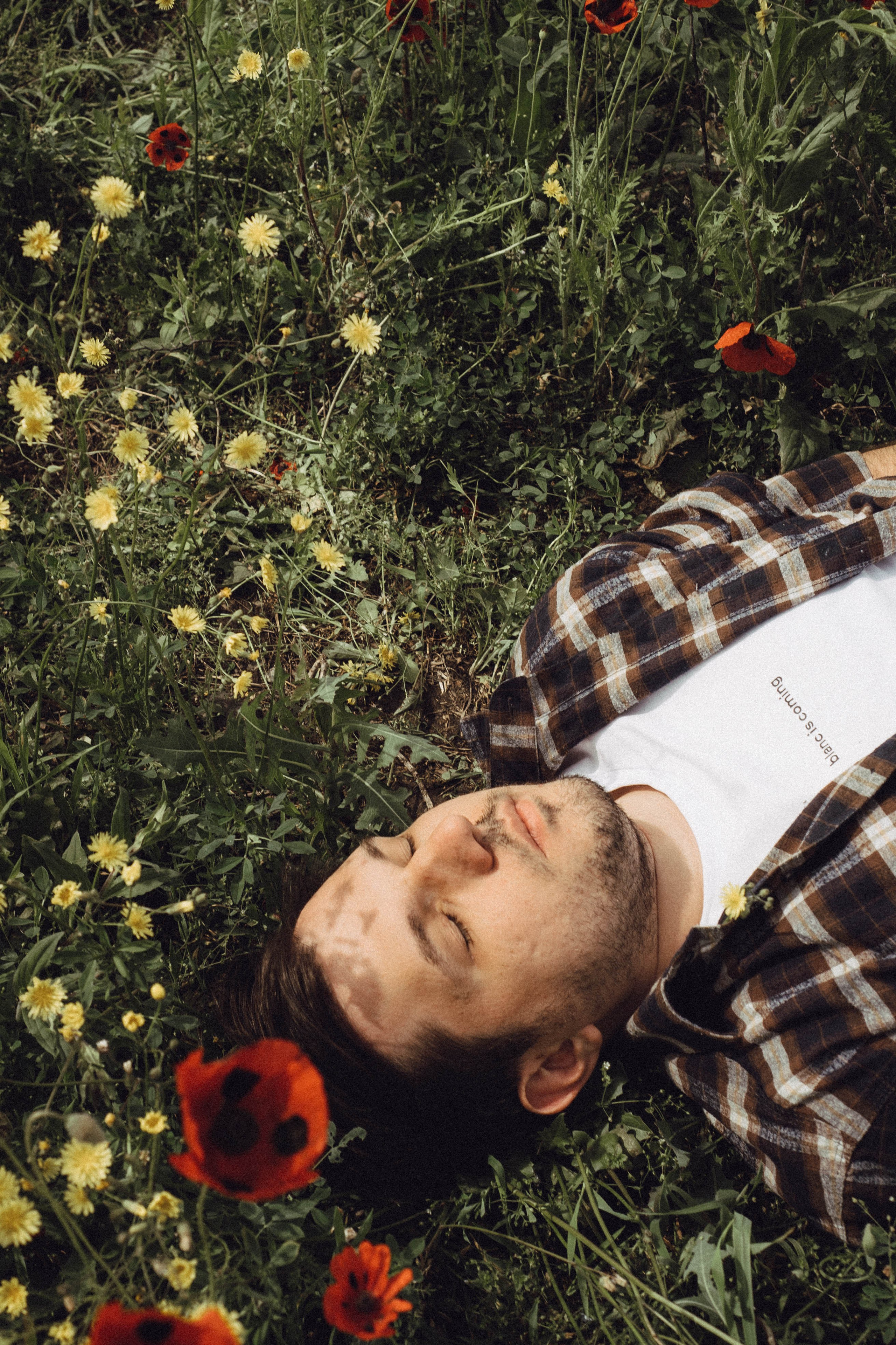 Маки. Профессиональный фотограф, Санкт-Петербург — Виктория Богомолова