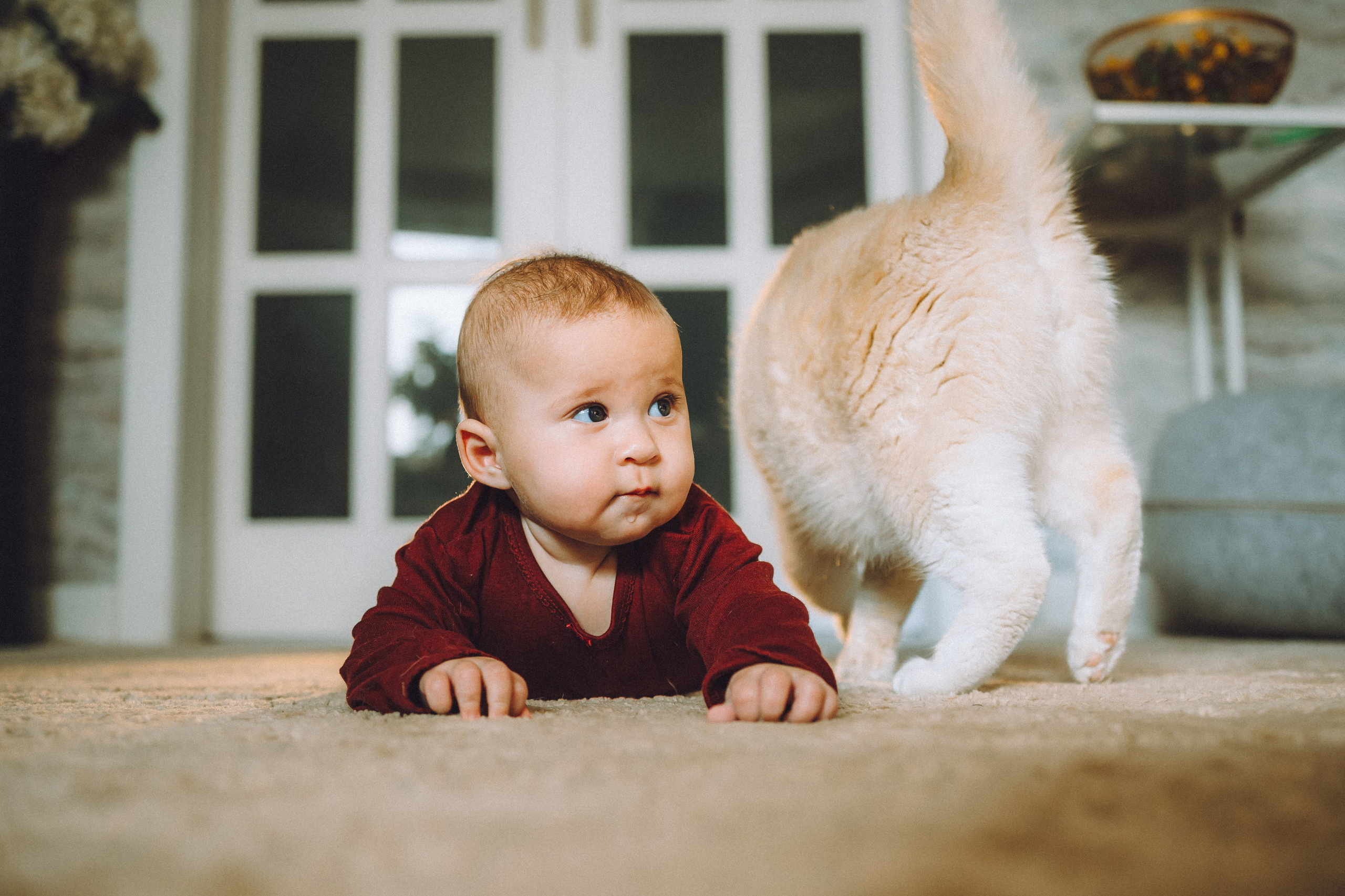 Топик и его семья