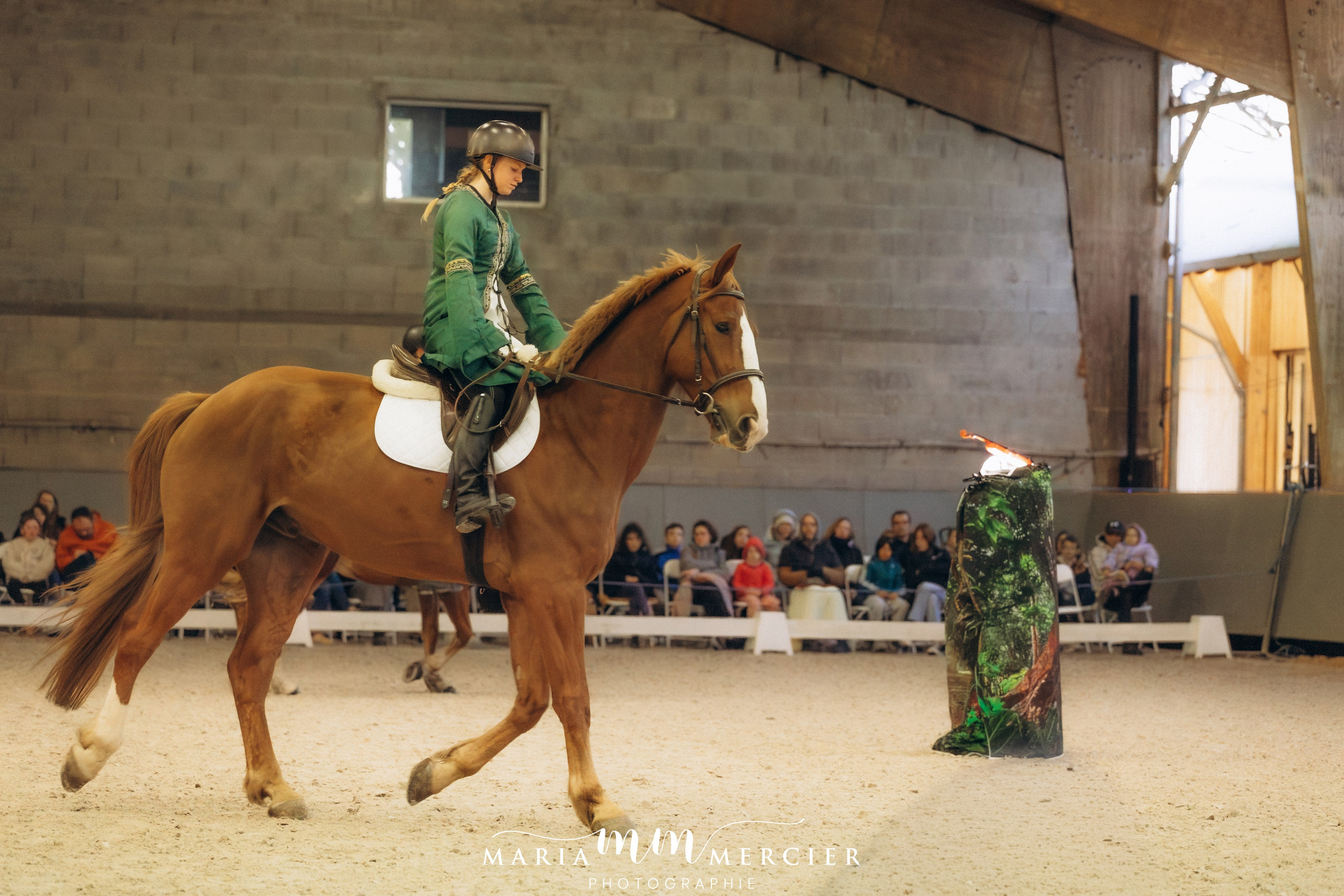 Evènements. Photographe des familles et enfants à Nantes et alentours
