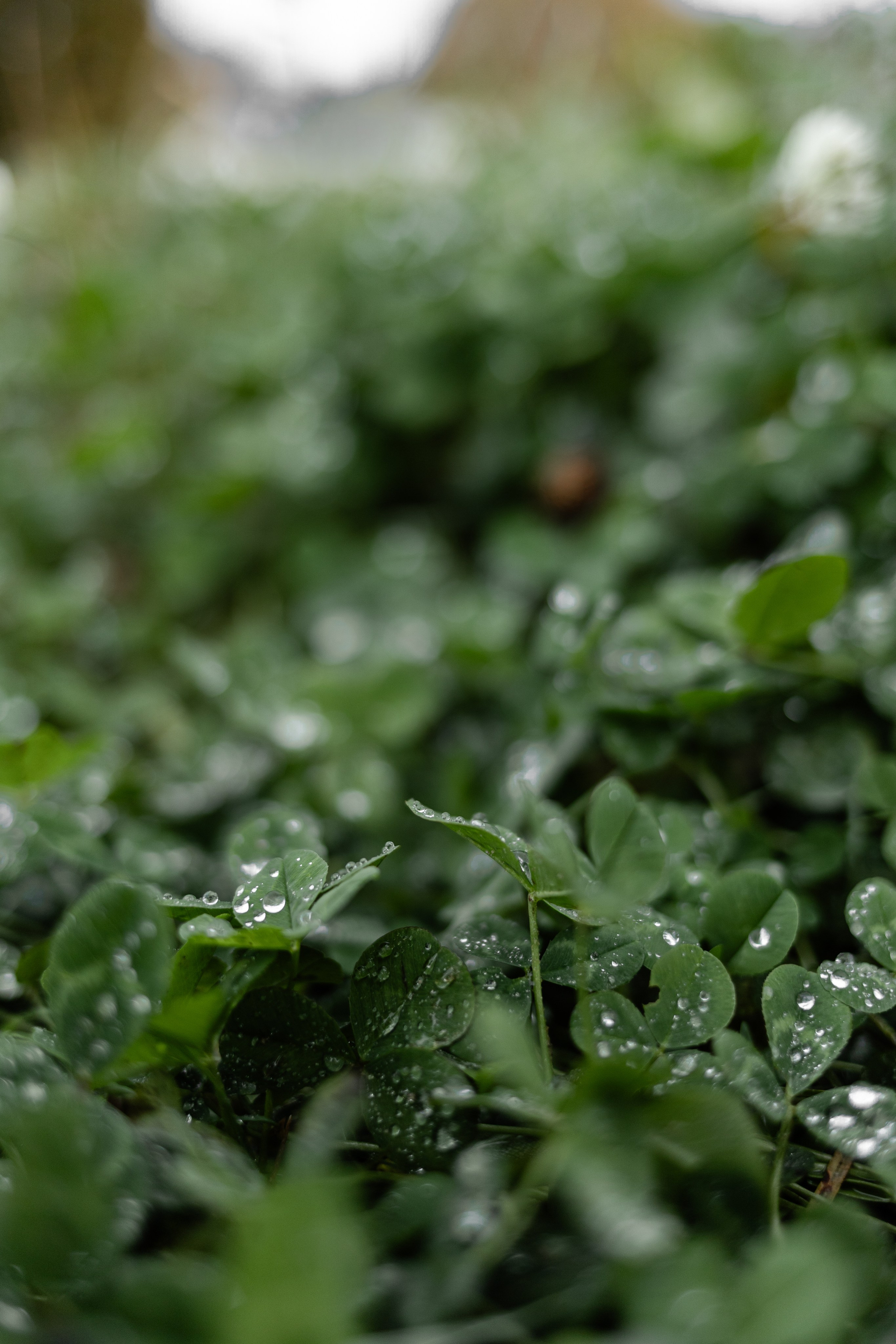 Маленькое начало большого проекта. Портретный фотограф в Минске Анна Волейко