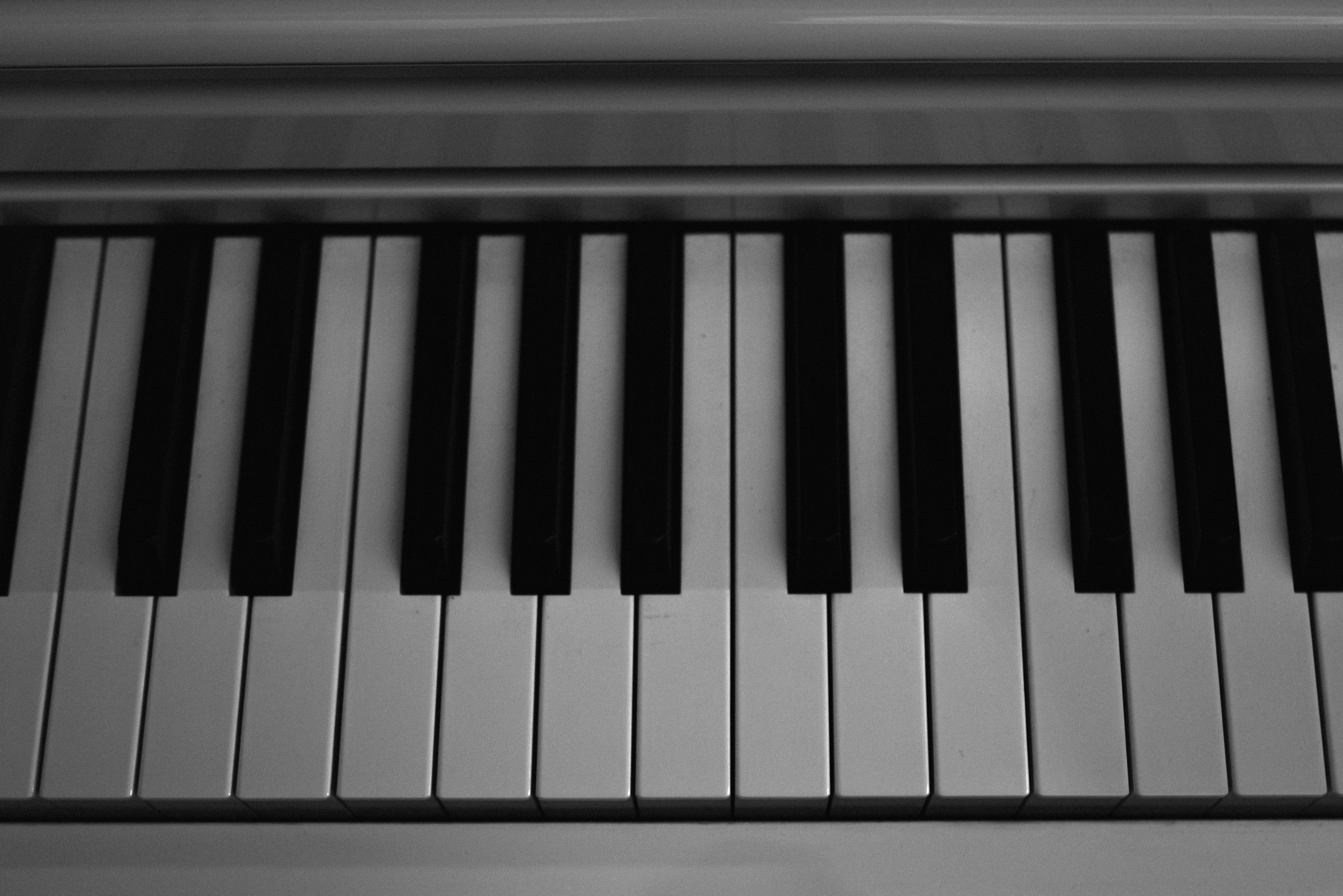 Дмитрий & Александра