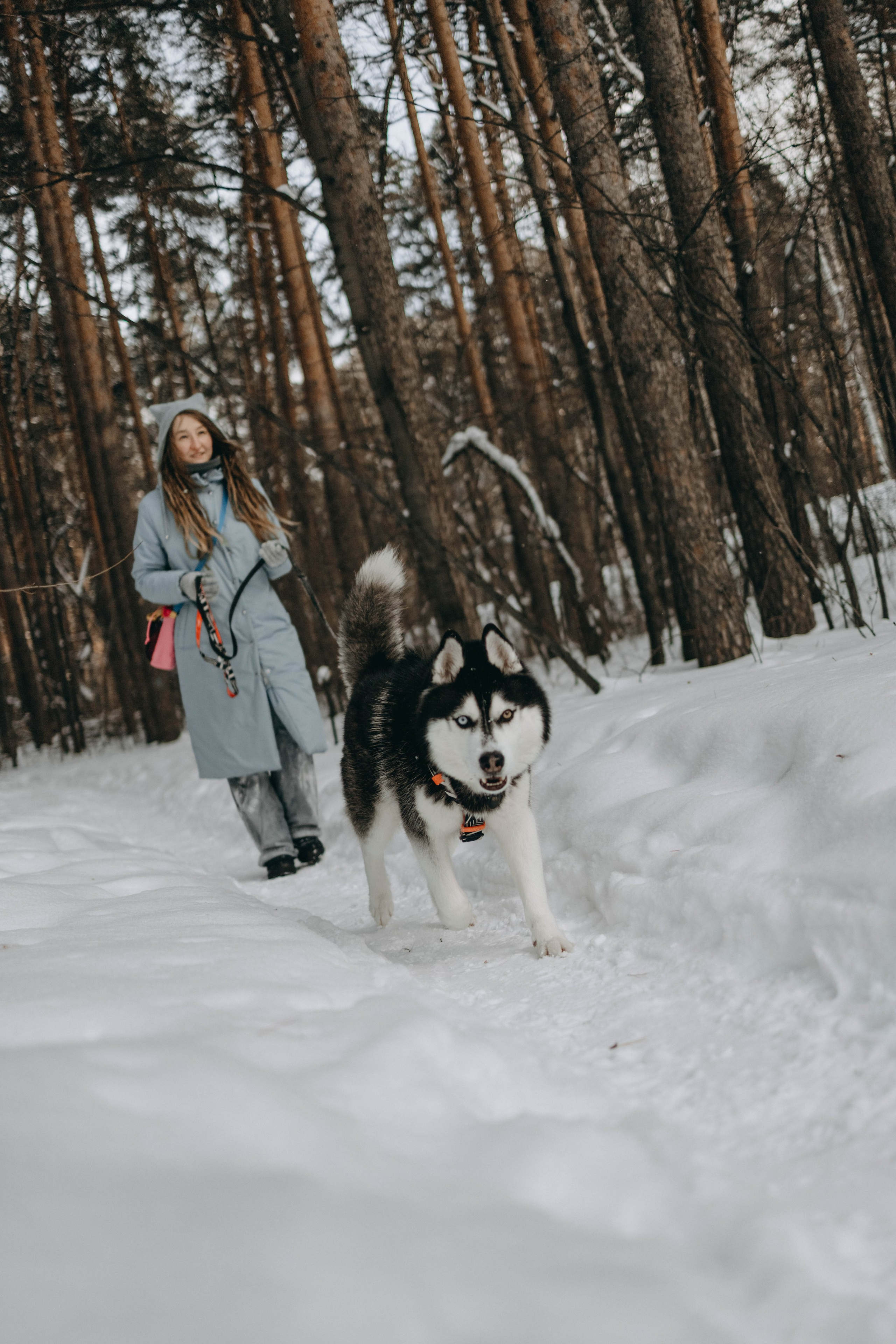 Анна и Вегас. Фотограф-анималист в Екатеринбурге | Кристина
