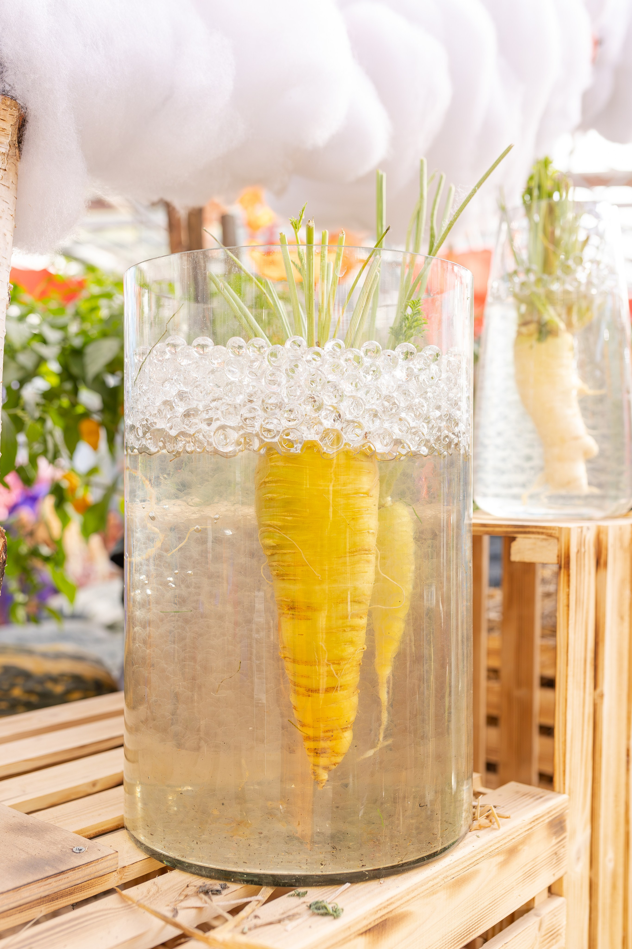 Овощи-гиганты. Александра Куликова фотограф, Москва