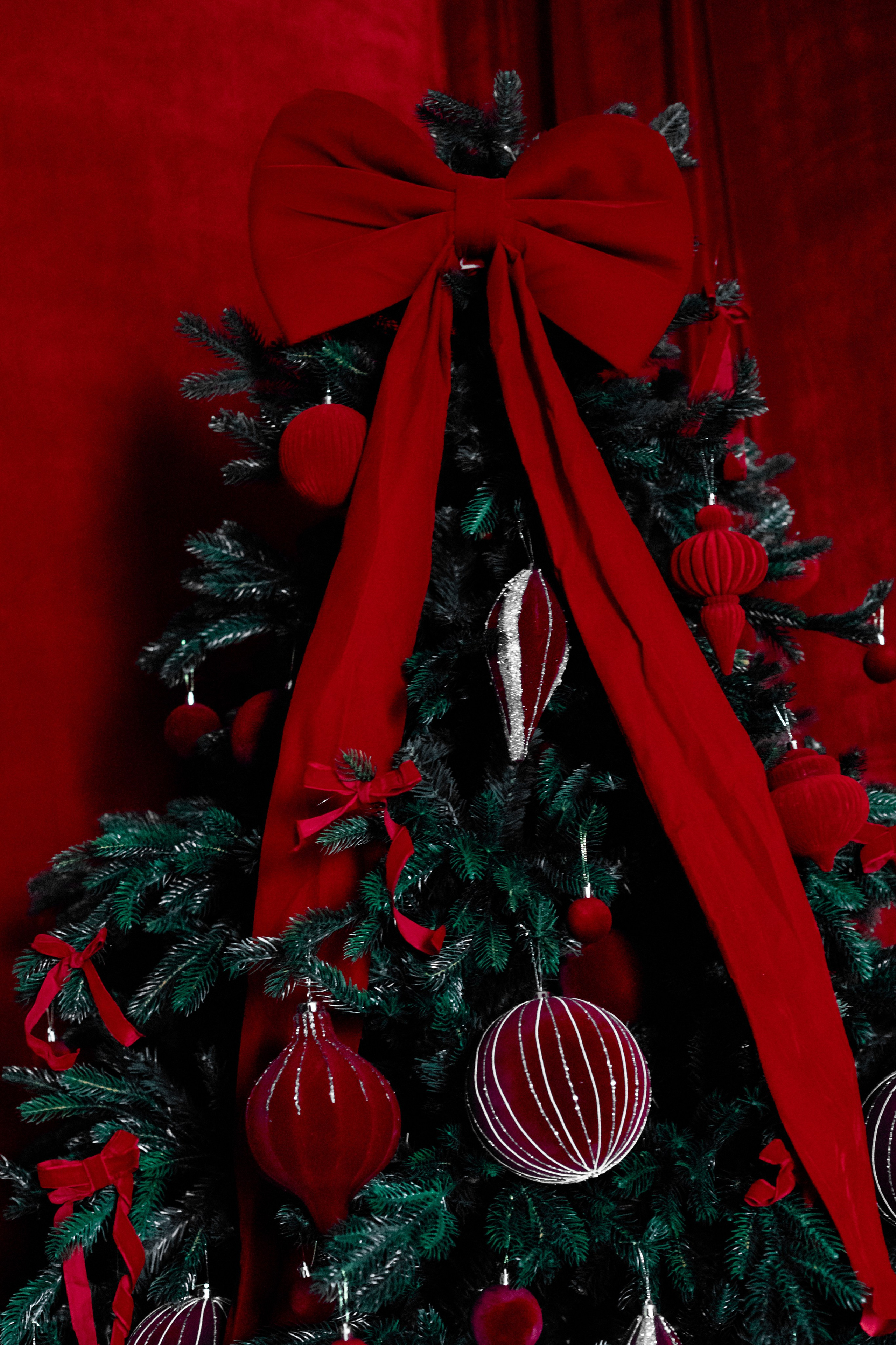 Черно-белый. Фотограф г. Хабаровск. Семейные и индивидуальные съёмки