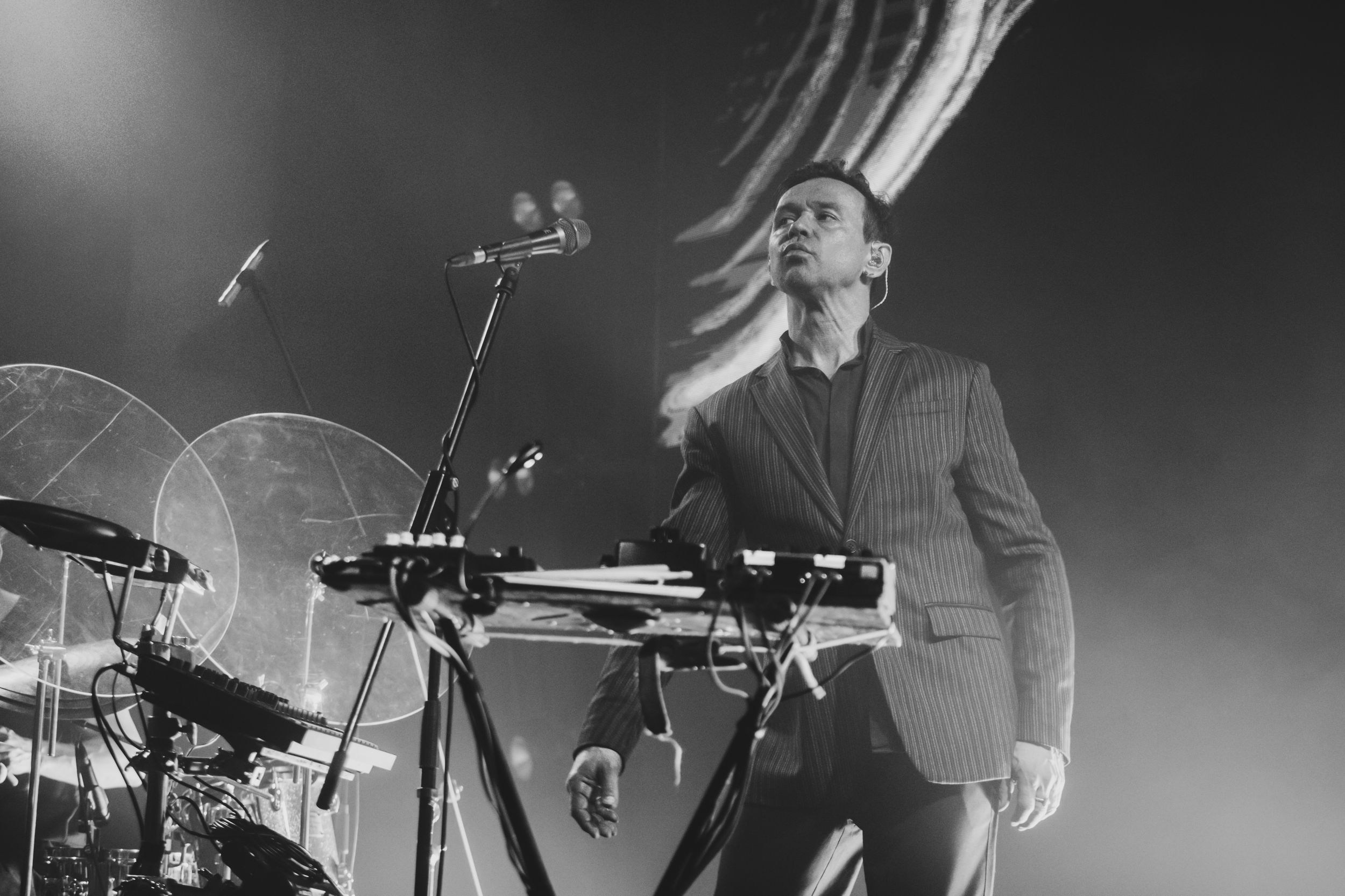 Дельфин. Репортажный фотограф Алексей Пирязев