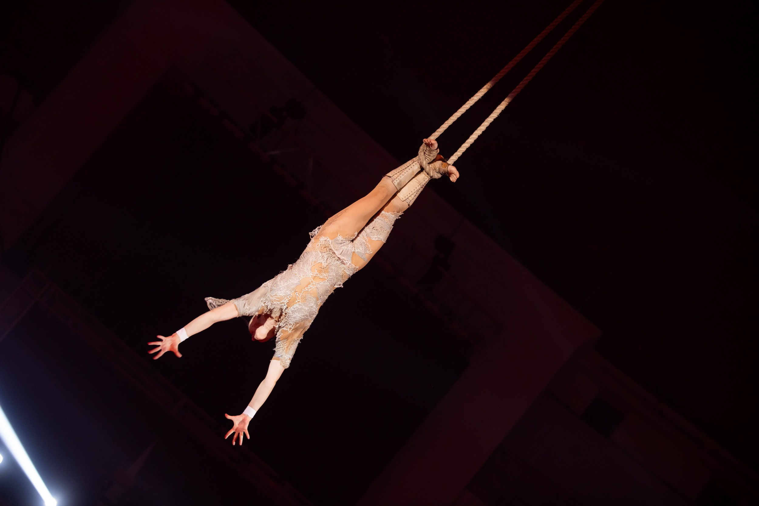 Городской бал выпускников (24 июня 2025). Репортажный фотограф Алексей Пирязев