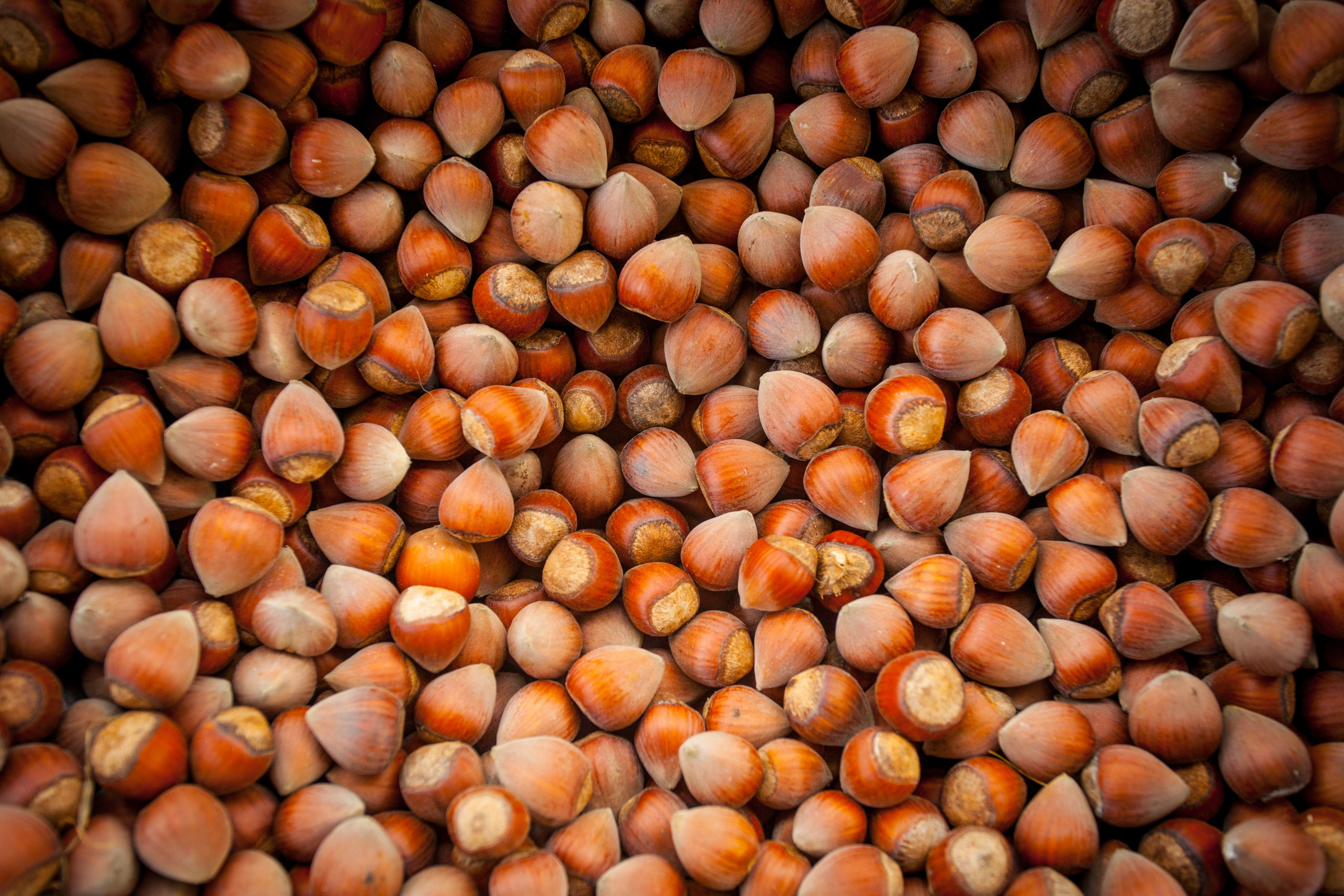 Фуд фото предметный фотограф. Фотограф Абхазия