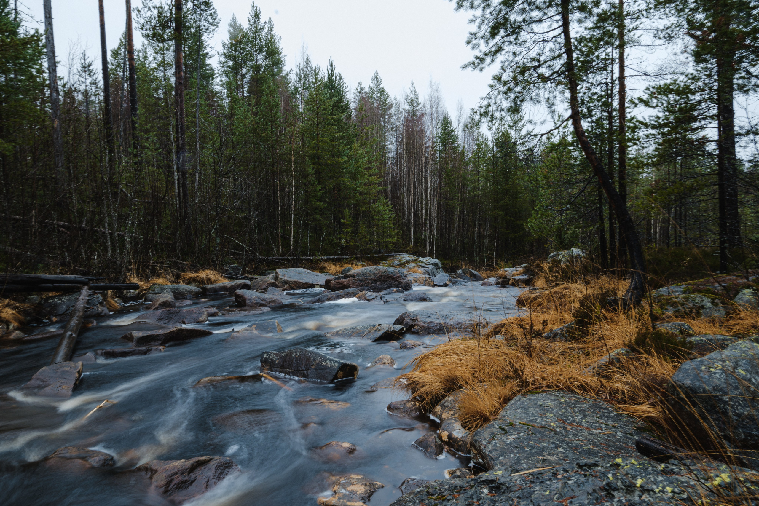 КАРЕЛИЯ / ОСЕНЬ. Создание контента | Фото | Видеосъемка | Александр Ярков