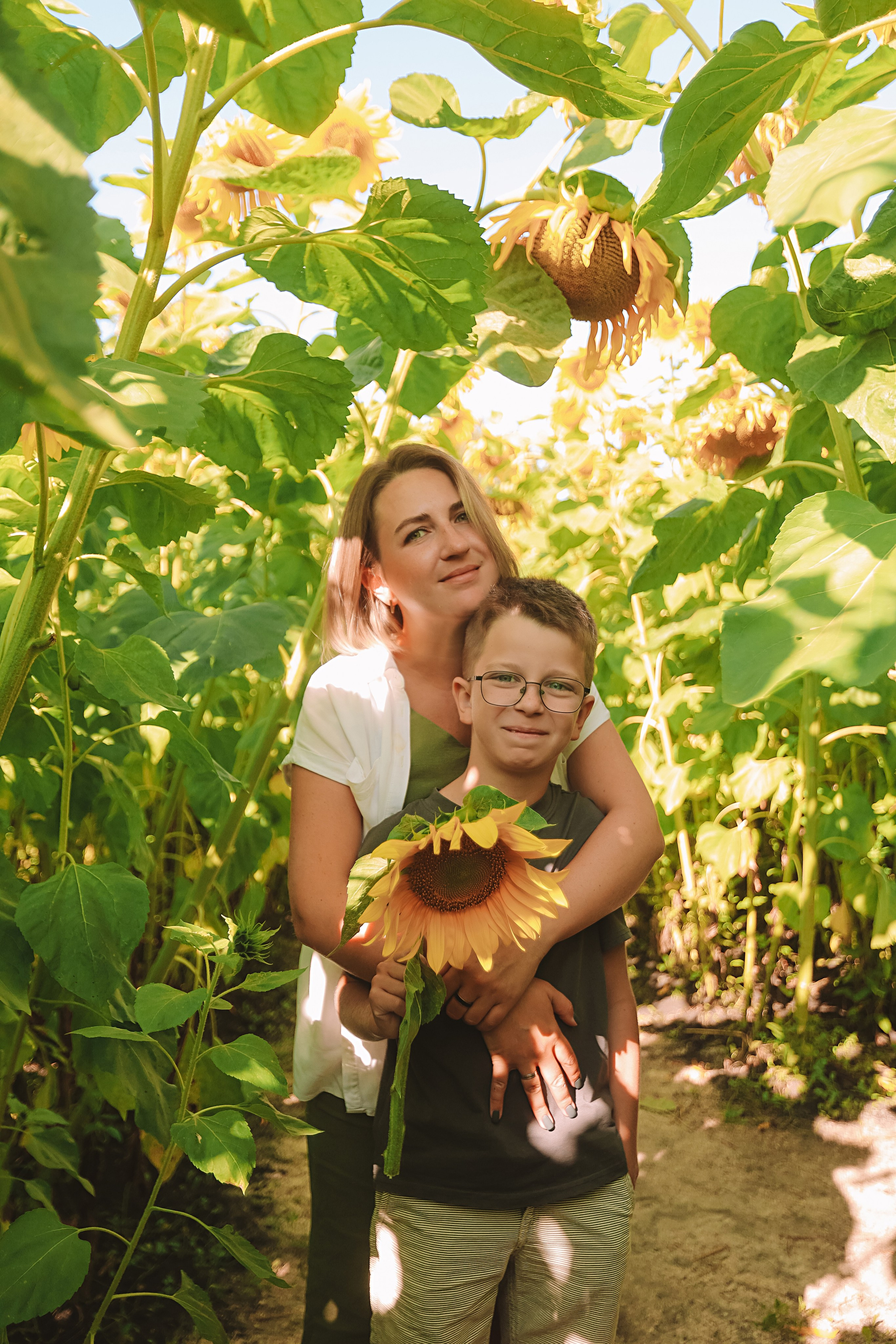 Подсолнухи. Семейный фотограф Тюмень, фотограф на роды Салмина Мария