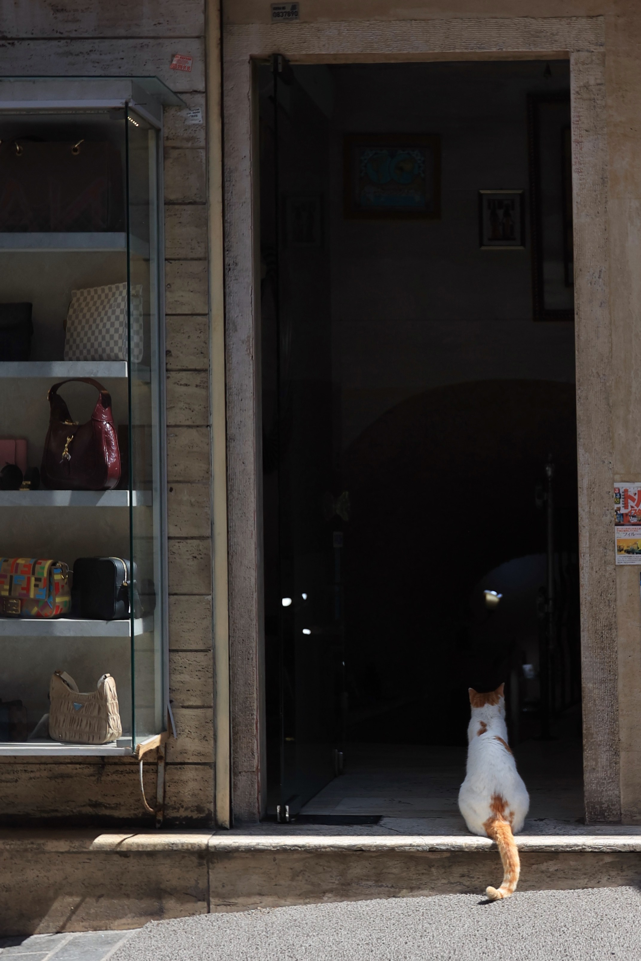 2025 год. Тащилин Сергей. Фотографии. Жизнь. Хобби