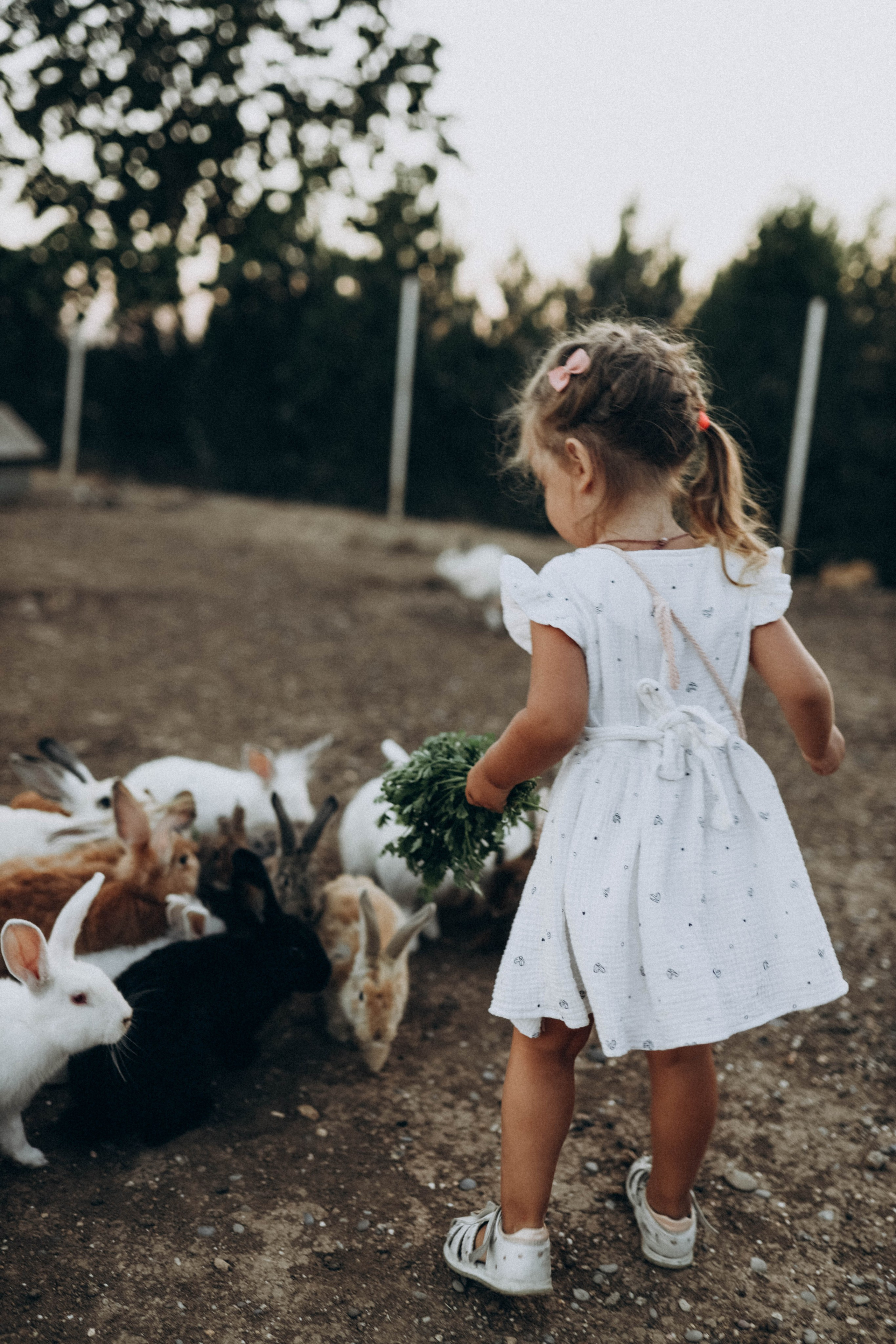 Кроликпарк 🐇. Индивидуальные и семейные съемки в Евпатории, Крыму Немировченко Анна