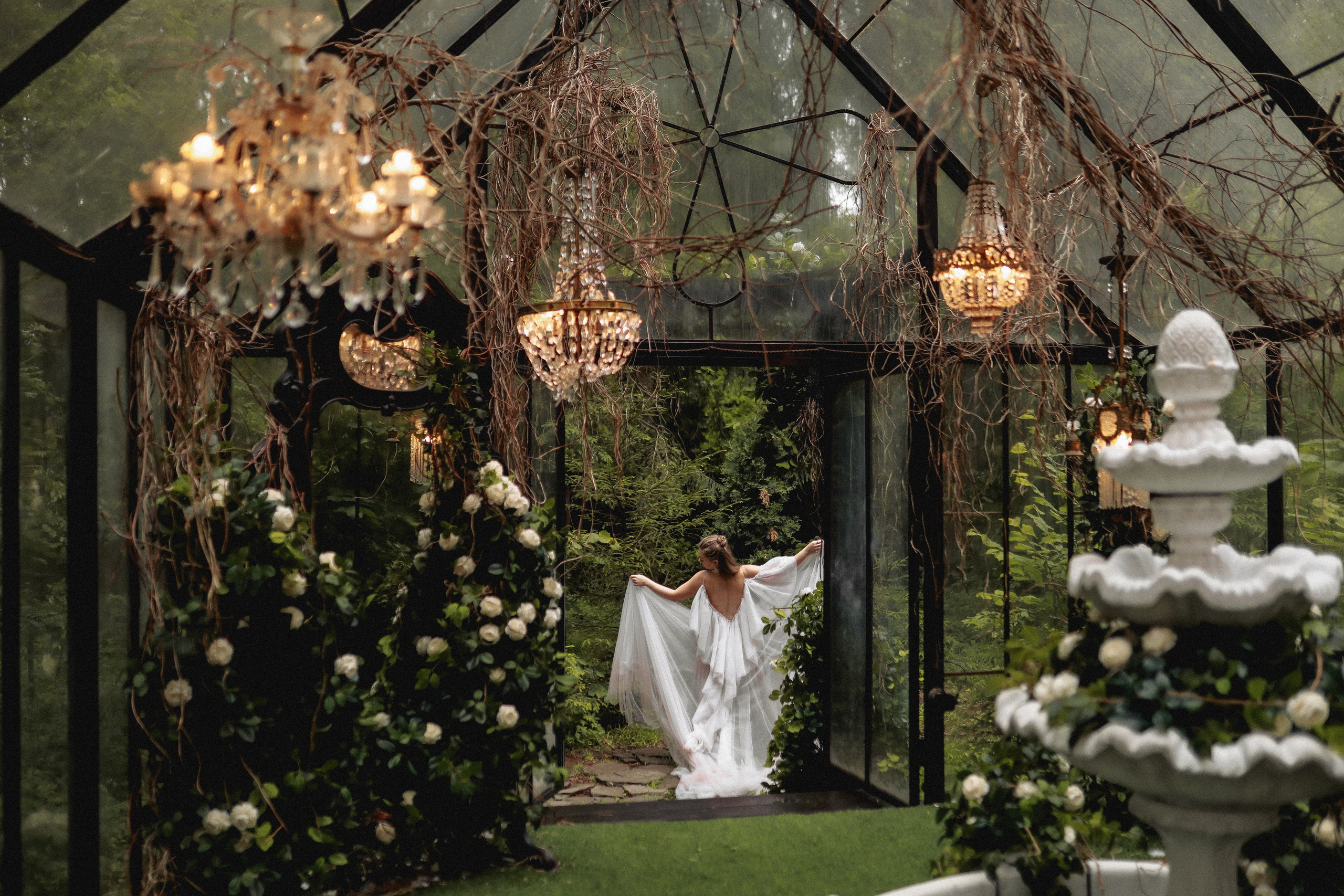 Зачарованный лес