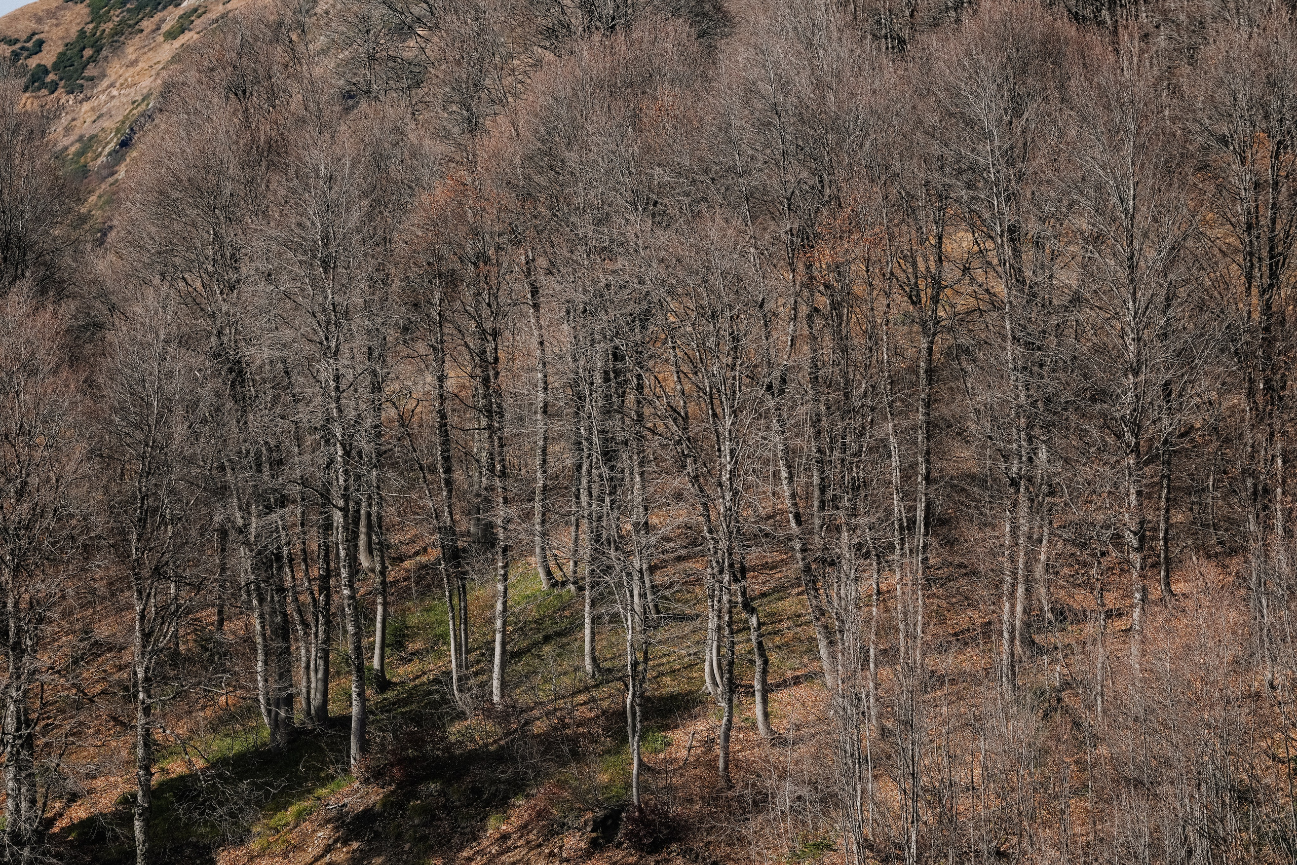 Роза Хутор ✽ Ноябрь. Репортажный фотограф | Роза Хутор Красная Поляна Сочи Сириус