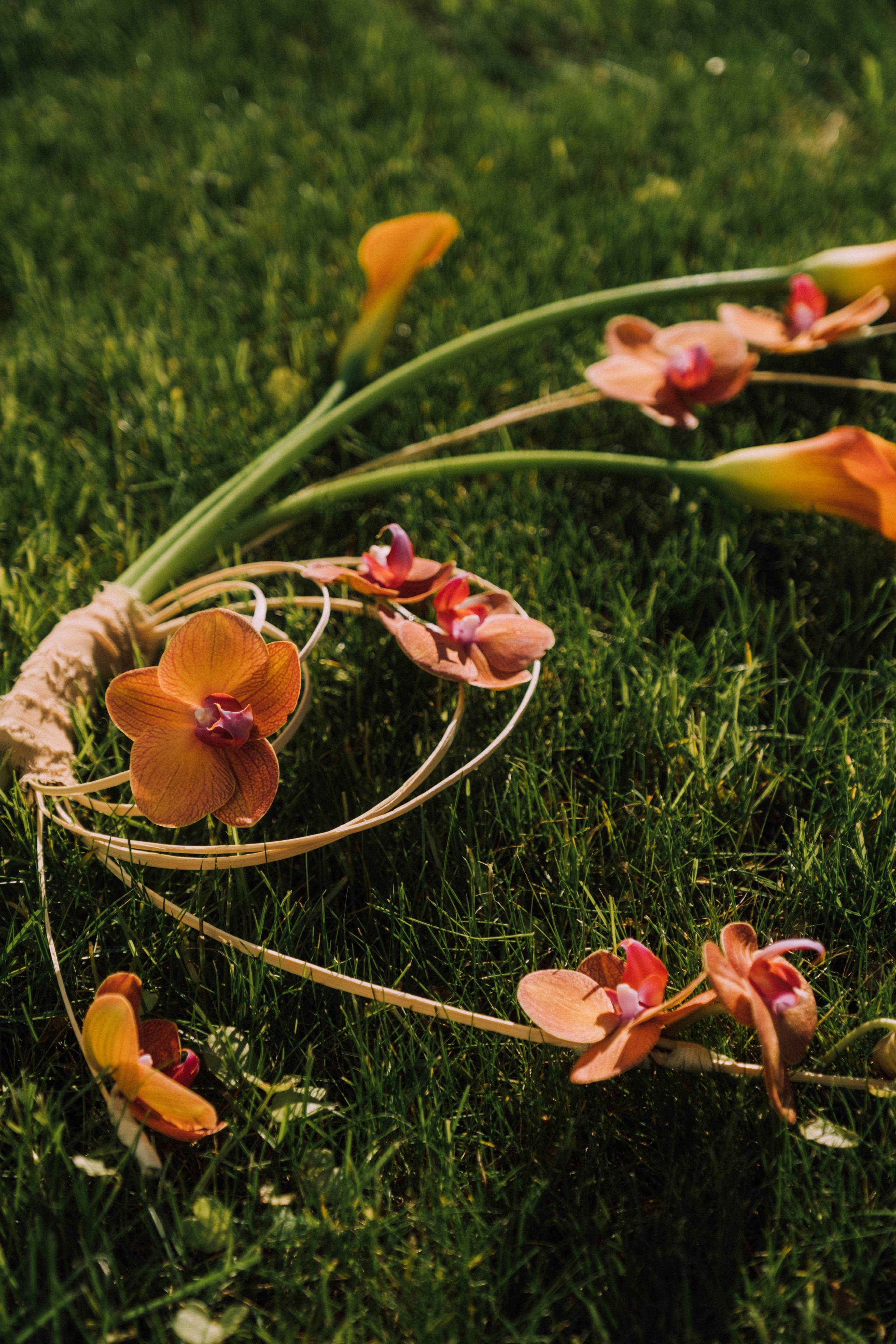 Аркея. Свадебный Видеограф Фотограф в Сочи