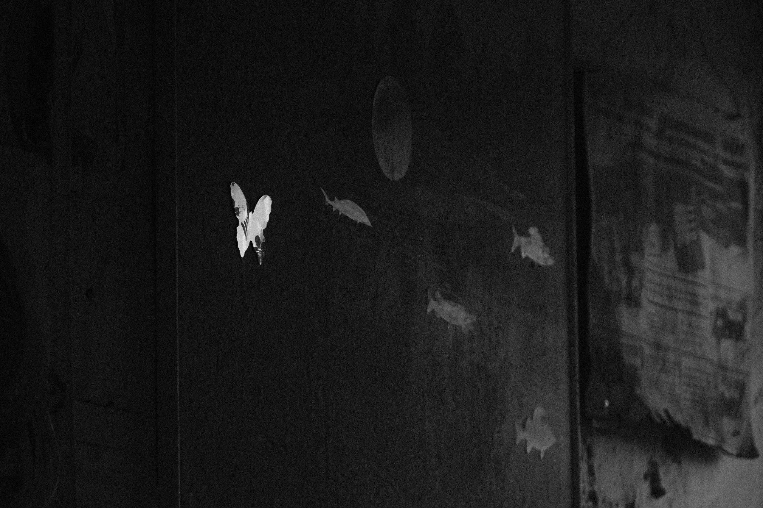 ЧБ. Фотограф-любитель из Кирова Андрей Погребняк