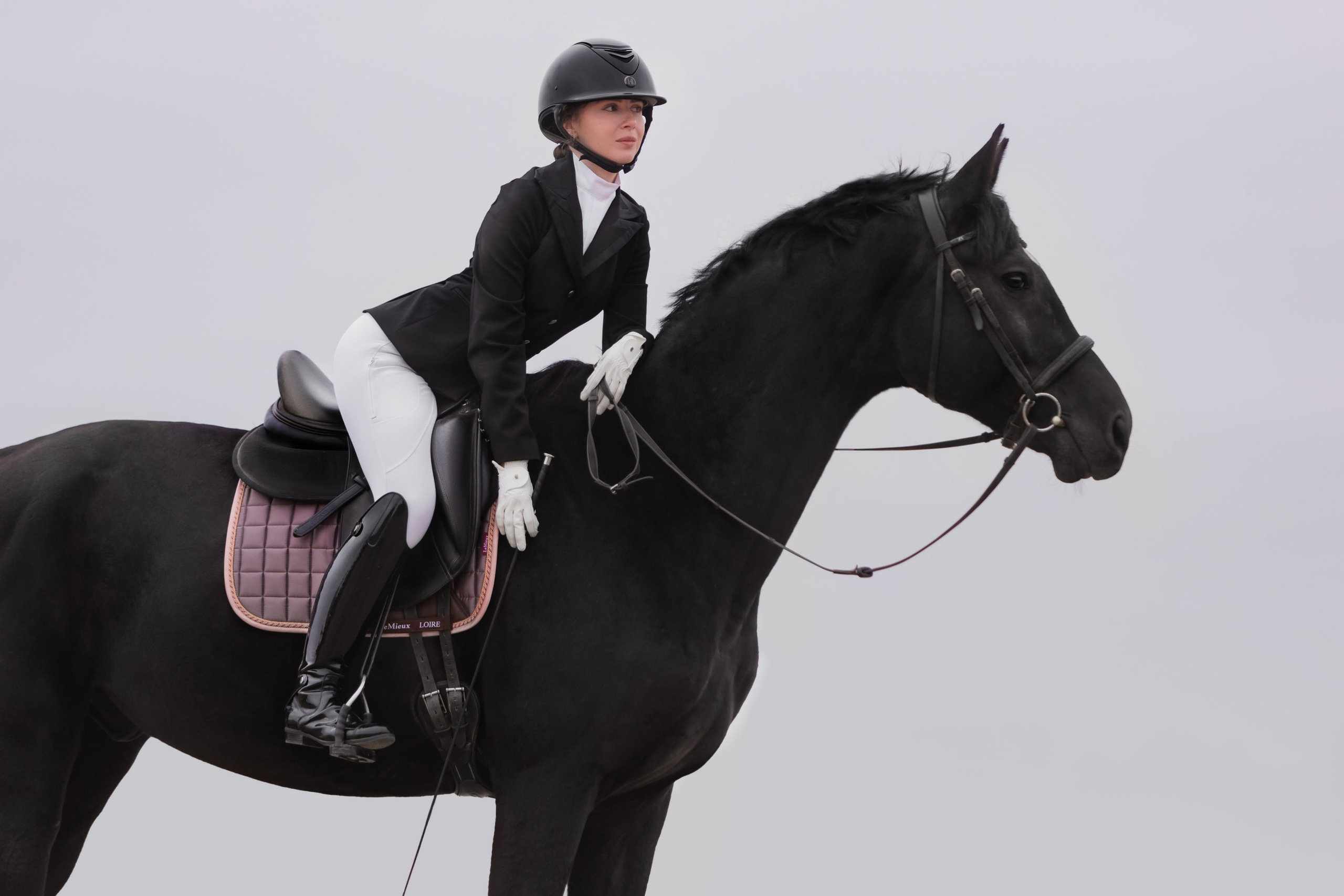 Фотосессии с лошадьми. Главная