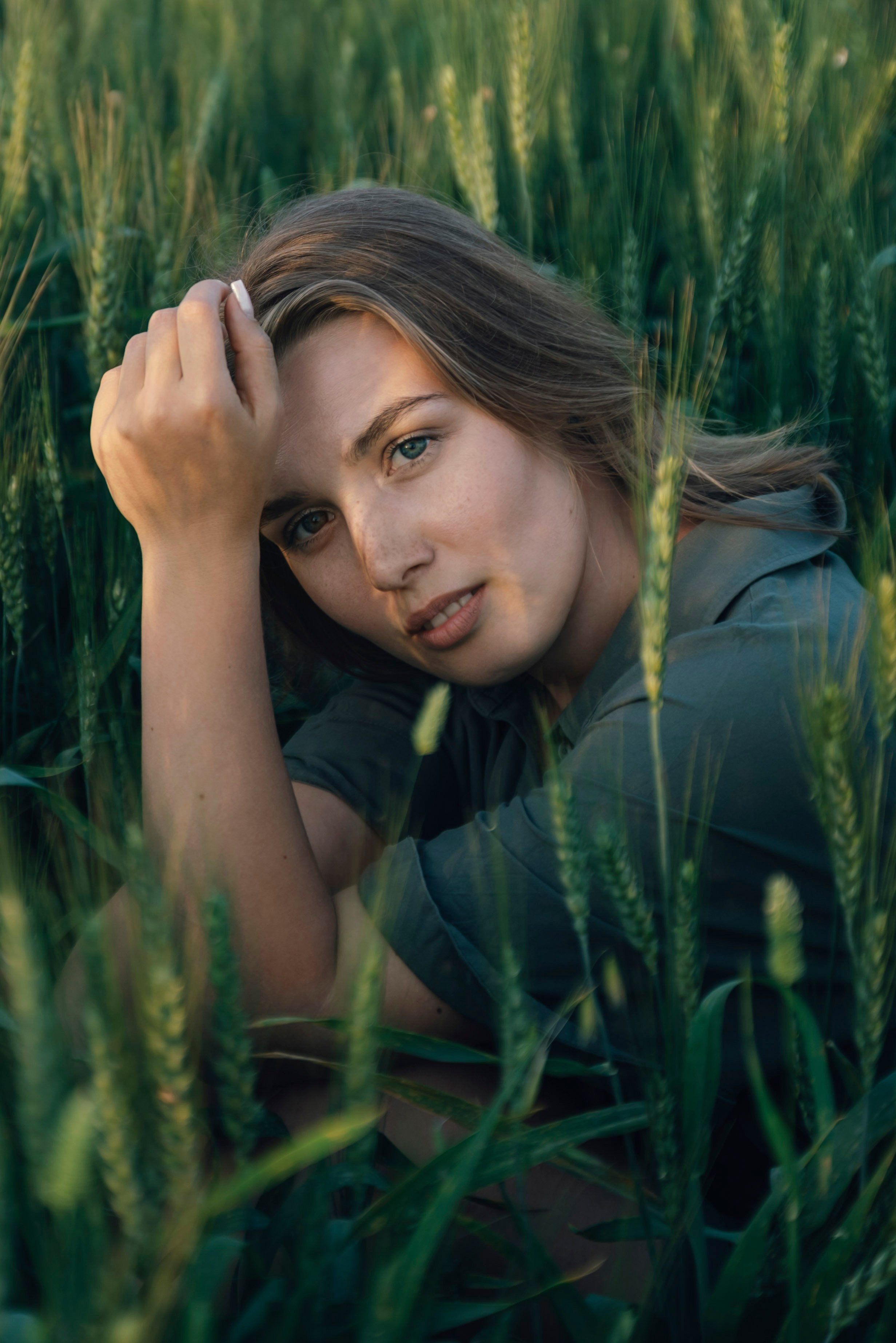 An Evening in the Field. Anna Lobanova | Photographer
