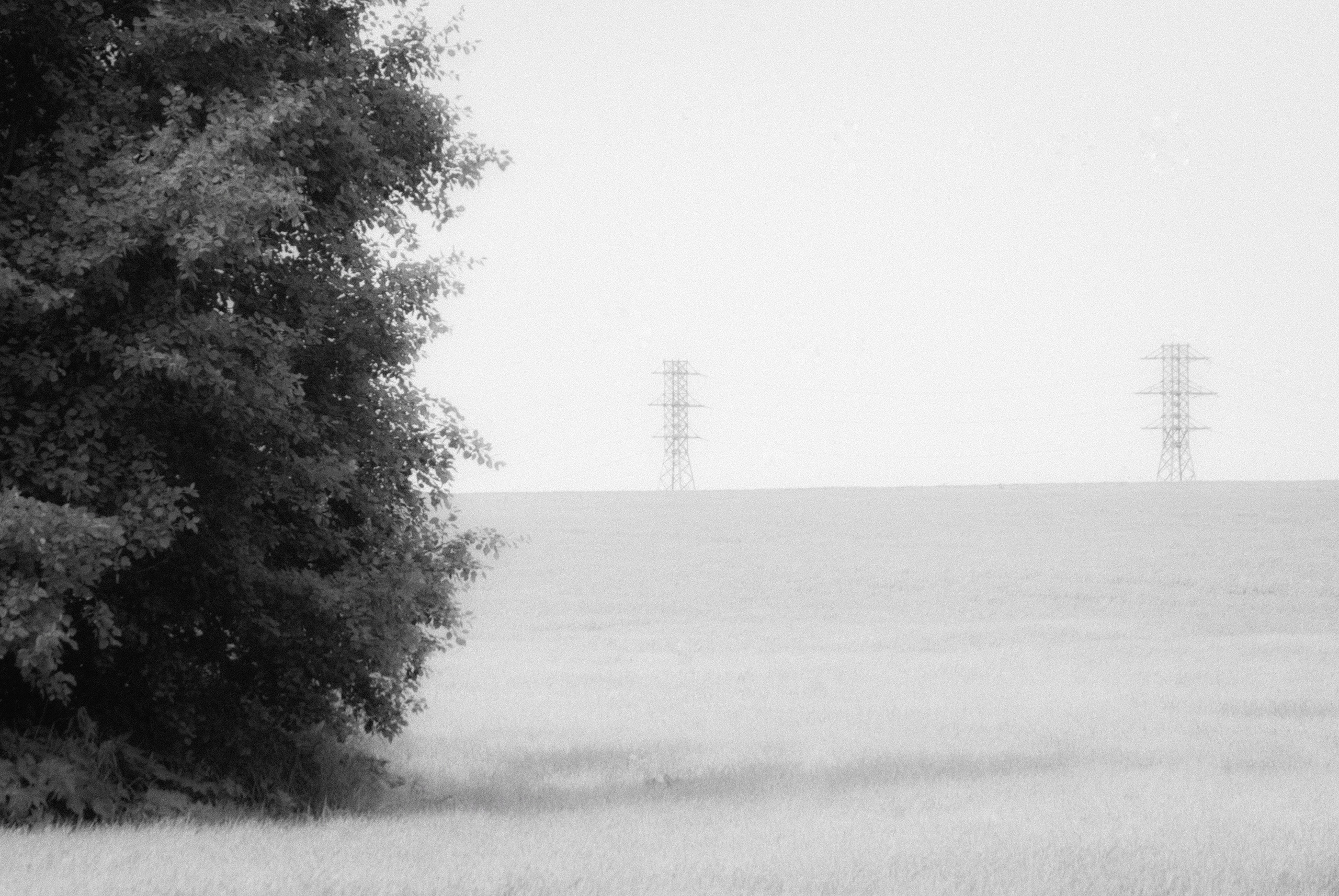 Внутривенные сны (2018-2023)