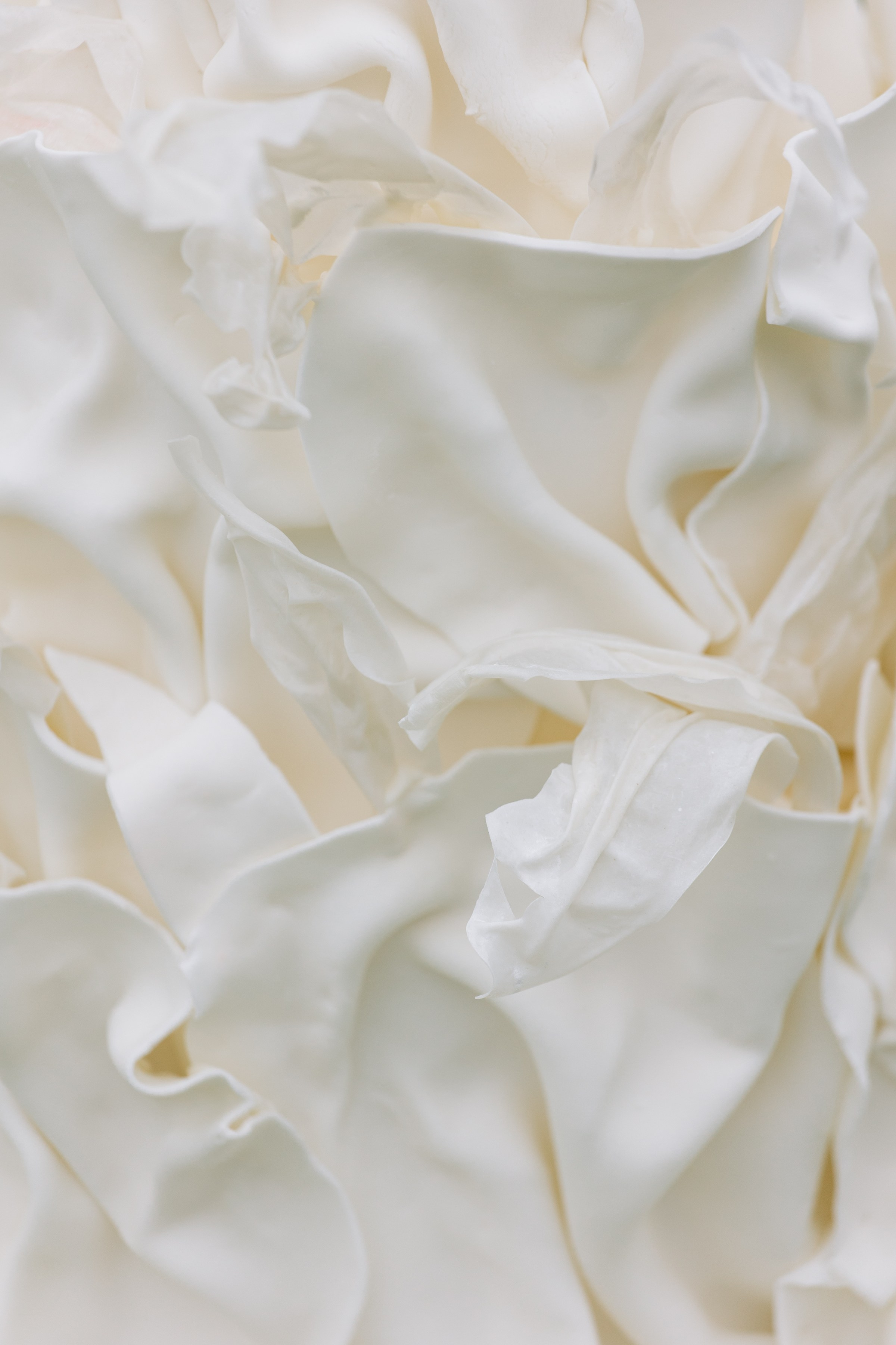 Ольга и Сергей. Свадебный и портретный фотограф в Москве и Санкт-Петербурге